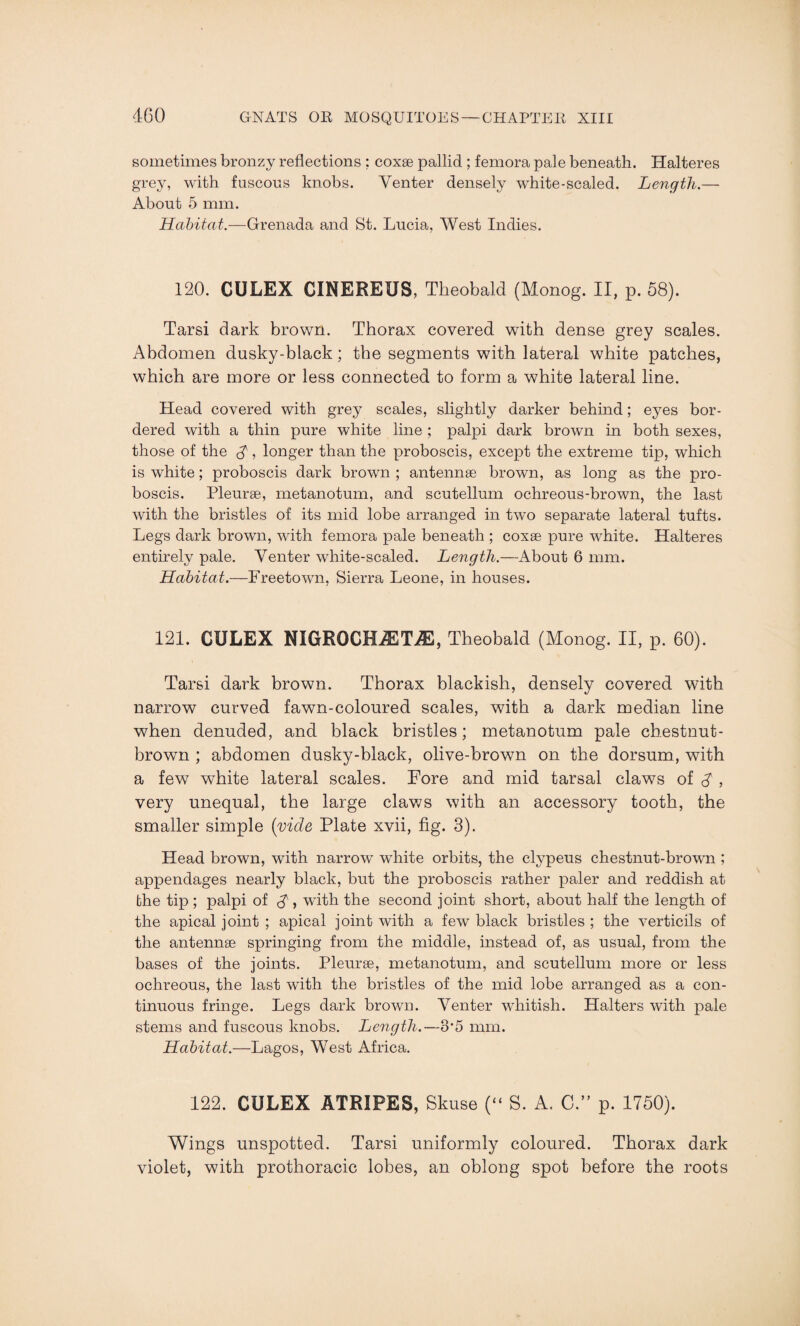 sometimes bronzy reflections ; coxae pallid ; femora pale beneath. Halteres grey, with fuscous knobs. Venter densely white-scaled. Length.— About 5 mm. Habitat.—Grenada and St. Lucia, West Indies. 120. CULEX CINEREUS, Theobald (Monog. II, p. 58). Tarsi dark brown. Thorax covered with dense grey scales. Abdomen dusky-black; the segments with lateral white patches, which are more or less connected to form a white lateral line. Head covered with grey scales, slightly darker behind; eyes bor¬ dered with a thin pure white line ; palpi dark brown in both sexes, those of the A, longer than the proboscis, except the extreme tip, which is white; proboscis dark brown ; antennae brown, as long as the pro¬ boscis. Pleurae, metanotum, and scutellum ochreous-brown, the last with the bristles of its mid lobe arranged in two separate lateral tufts. Legs dark brown, with femora pale beneath ; coxae pure white. Halteres entirely pale. Venter white-scaled. Length.—About 6 mm. Habitat.—Freetown, Sierra Leone, in houses. 121. CULEX NIGROCHiETjE, Theobald (Monog. II, p. 60). Tarsi dark brown. Thorax blackish, densely covered with narrow curved fawn-coloured scales, with a dark median line when denuded, and black bristles; metanotum pale chestnut- brown ; abdomen dusky-black, olive-brown on the dorsum, with a few white lateral scales. Fore and mid tarsal claws of A , very unequal, the large claws with an accessory tooth, the smaller simple (vide Plate xvii, fig. 3). Head brown, with narrow white orbits, the clypeus chestnut-brown ; appendages nearly black, but the proboscis rather paler and reddish at the tip ; palpi of $ , with the second joint short, about half the length of the apical joint ; apical joint with a few black bristles ; the verticils of the antennae springing from the middle, instead of, as usual, from the bases of the joints. Pleurae, metanotum, and scutellum more or less ochreous, the last with the bristles of the mid lobe arranged as a con¬ tinuous fringe. Legs dark brown. Venter whitish. Halters with pale stems and fuscous knobs. Length.—3*5 mm. Habitat.—Lagos, West Africa. 122. CULEX ATRIPES, Skuse (“ S. A. C.” p. 1750). Wings unspotted. Tarsi uniformly coloured. Thorax dark violet, with prothoracic lobes, an oblong spot before the roots