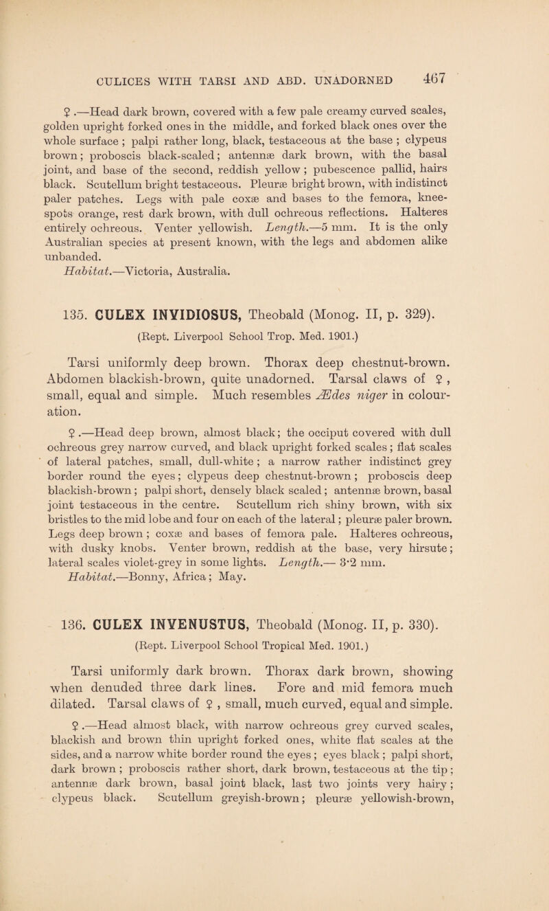 $ .—Head dark brown, covered with a few pale creamy curved scales, golden upright forked ones in the middle, and forked black ones over the whole surface ; palpi rather long, black, testaceous at the base ; clypeus brown; proboscis black-scaled; antennae dark brown, with the basal joint, and base of the second, reddish yellow ; pubescence pallid, hairs black. Scutellum bright testaceous. Pleurae bright brown, with indistinct paler patches. Legs with pale coxae and bases to the femora, lmee- spots orange, rest dark brown, with dull ochreous reflections. Halteres entirely ochreous. Venter yellowish. Length.—5 mm. It is the only Australian species at present known, with the legs and abdomen alike unbanded. Habitat.—Victoria, Australia. 135. CULEX INYIDIOSUS, Theobald (Monog. II, p. 329). (Kept. Liverpool School Trop. Med. 1901.) Tarsi uniformly deep brown. Thorax deep chestnut-brown. Abdomen blackish-brown, quite unadorned. Tarsal claws of $ , small, equal and simple. Much resembles JEdes niger in colour¬ ation. 5 .—Head deep brown, almost black; the occiput covered with dull ochreous grey narrow curved, and black upright forked scales; flat scales of lateral patches, small, dull-white ; a narrow rather indistinct grey border round the eyes; clypeus deep chestnut-brown ; proboscis deep blackish-brown; palpi short, densely black scaled ; antennae brown, basal joint testaceous in the centre. Scutellum rich shiny brown, with six bristles to the mid lobe and four on each of the lateral; pleurae paler brown. Legs deep brown ; coxae and bases of femora pale. Halteres ochreous, with dusky knobs. Venter brown, reddish at the base, very hirsute; lateral scales violet-grey in some lights. Length.— 3*2 mm. Habitat.—Bonny, Africa ; May. 136. CULEX INYENUSTUS, Theobald (Monog. II, p. 330). (Rept. Liverpool School Tropical Med. 1901.) Tarsi uniformly dark brown. Thorax dark brown, showing when denuded three dark lines. Fore and mid femora much dilated. Tarsal claws of $ , small, much curved, equal and simple. $ .—Head almost black, with narrow ochreous grey curved scales, blackish and brown thin upright forked ones, white flat scales at the sides, and a narrow white border round the eyes ; eyes black ; palpi short, dark brown ; proboscis rather short, dark brown, testaceous at the tip; antennae dark brown, basal joint black, last two joints very hairy; clypeus black. Scutellum greyish-brown; pleurae yellowish-brown,