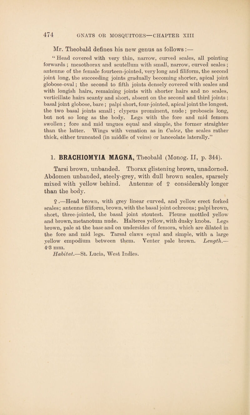 Mr. Theobald defines his new genus as follows :— “ Head covered with very thin, narrow, curved scales, all pointing forwards ; mesothorax and scutellum with small, narrow, curved scales ; antennae of the female fourteen-jointed, very long and filiform, the second joint long, the succeeding joints gradually becoming shorter, apical joint globose-oval; the second to fifth joints densely covered with scales and with longish hairs, remaining joints with shorter hairs and no scales, verticillate hairs scanty and short, absent on the second and third joints ; basal joint globose, bare ; palpi short, four-jointed, apical joint the longest, the two basal joints small; clypeus prominent, nude; proboscis long, but not so long as the body. Legs with the fore and mid femora swollen ; fore and mid ungues equal and simple, the former straighter than the latter. Wings with venation as in Culex, the scales rather thick, either truncated (in middle of veins) or lanceolate laterally.” 1. BRACHIOMYIA MAGNA, Theobald (Monog. II, p. 344). Tarsi brown, unbanded. Thorax glistening brown, unadorned. Abdomen unbanded, steely-grey, with dull brown scales, sparsely mixed with yellow behind. Antennge of £ considerably longer than the body. $ .—Head brown, with grey linear curved, and yellow erect forked scales; antennge filiform, brown, with the basal joint ochreous; palpi brown, short, three-jointed, the basal joint stoutest. Pleurge mottled yellow and brown, metanotum nude. Halteres yellow, with dusky knobs. Legs brown, pale at the base and on undersides of femora, which are dilated in the fore and mid legs. Tarsal clawTs equal and simple, with a large yellow empodium between them. Venter pale brown. Length — 4*3 mm. Habitat.—St. Lucia, West Indies.