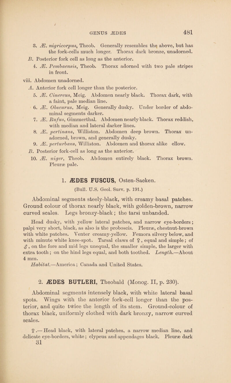3. AE. nigricorpus, Theob. Generally resembles the above, but has the fork-cells much longer. Thorax dark bronze, unadorned. B. Posterior fork cell as long as the anterior. 4. AE. Pembaensis, Theob. Thorax adorned with two pale stripes in front. viii. Abdomen unadorned. A. Anterior fork cell longer than the posterior. 5. AE. Cinereus, Meig. Abdomen nearly black. Thorax dark, with a faint, pale median line. 6. AE. Obscurus, Meig. Generally dusky. Under border of abdo¬ minal segments darker. 7. AE. Bufus, Gimmerthal. Abdomen nearly black. Thorax reddish, with median and lateral darker lines. 8. AE. pertinans, Williston. Abdomen deep brown. Thorax un¬ adorned, brown, and generally dusky. 9. AE. perturba?is, Williston. Abdomen and thorax alike ellow. B. Posterior fork-cell as long as the anterior. 10. AE. niger, Theob. Abdomen entirely black. Thorax brown. Pleurae pale. 1. iEDES FUSCUS, Osten-Sacken. (Bull. U.S. Geol. Surv. p. 191.) Abdominal segments steely-black, with creamy basal patches. Ground colour of thorax nearly black, with golden-brown, narrow curved scales. Legs bronzy-black ; the tarsi unbanded. Head dusky, with yellow lateral patches, and narrow eye-borders ; palpi very short, black, as also is the proboscis. Pleurae, chestnut-brown with white patches. Venter creamy-yellow. Femora silvery below, and with minute white knee-spot. Tarsal claws of 2 , equal and simple; of $, on the fore and mid legs unequal, the smaller simple, the larger with extra tooth ; on the hind legs equal, and both toothed. Length.—About 4 mm. Habitat.—America ; Canada and United States. 2. iEDES BUTLERI, Theobald (Monog. II, p. 230). Abdominal segments intensely black, with white lateral basal spots. Wings with the anterior fork-cell longer than the pos¬ terior, and quite twice the length of its stem. Ground-colour of thorax black, uniformly clothed with dark bronzy, narrow curved scales. 2 .— Head black, with lateral patches, a narrow median line, and delicate eye-borders, white ; clypeus and appendages black. Pleurae dark 31