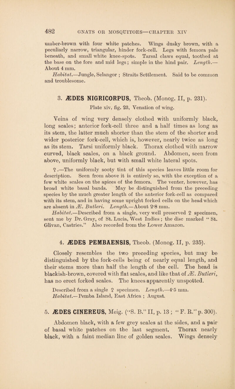 umber-brown with four white patches. Wings dusky brown, with a peculiarly narrow, triangular, hinder fork-cell. Legs with femora pale beneath, and small white knee-spots. Tarsal claws equal, toothed at the base on the fore and mid legs ; simple in the hind pair. Length.— About 4 mm. Habitat.—Jungle, Selangor ; Straits Settlement. Said to be common and troublesome. 3. jEDES NIGRICORPUS, Theob. (Monog. II, p. 231). Plate xiv, fig. 23, Venation of wing. Veins of wing very densely clothed with uniformly black, long scales; anterior fork-cell three and a half times as long as its stem, the latter much shorter than the stem of the shorter and wider posterior fork-cell, which is, however, nearly twice as long as its stem. Tarsi uniformly black. Thorax clothed with narrow curved, black scales, on a black ground. Abdomen, seen from above, uniformly black, but with small white lateral spots. 2 .—The uniformly sooty tint of this species leaves little room for description. Seen from above it is entirely so, with the exception of a few white scales on the apices of the femora. The venter, however, has broad white basal bands. May be distinguished from the preceding species by the much greater length of the anterior fork-cell as compared with its stem, and in having some upright forked cells on the head which are absent in BE. Butleri. Length.—About 2*8 mm. Habitat.—Described from a single, very well preserved 2 specimen, sent me by Dr. Gray, of St. Lucia, West Indies ; the disc marked “ St.. Glivan, Castries.” Also recorded from the Lower Amazon. 4. AEDES PEMBAENSIS, Theob. (Monog. II, p. 235). Closely resembles the two preceding species, but may be distinguished by the fork-cells being of nearly equal length, and their stems more than half the length of the cell. The head is blackish-brown, covered with flat scales, and like that of HE. Butleri,. has no erect forked scales. The knees apparently unspotted. Described from a single 2 specimen. Length.—4*5 mm. Habitat.—Pemba Island, East x\frica ; August. 5. iEDES CINEREUS, Meig. (“S. B.” II, p. 13 ; “ F. B.” p. 300). Abdomen black, with a few grey scales at the sides, and a pair of basal white patches on the last segment. Thorax nearly black, with a faint median line of golden scales. Wings densely