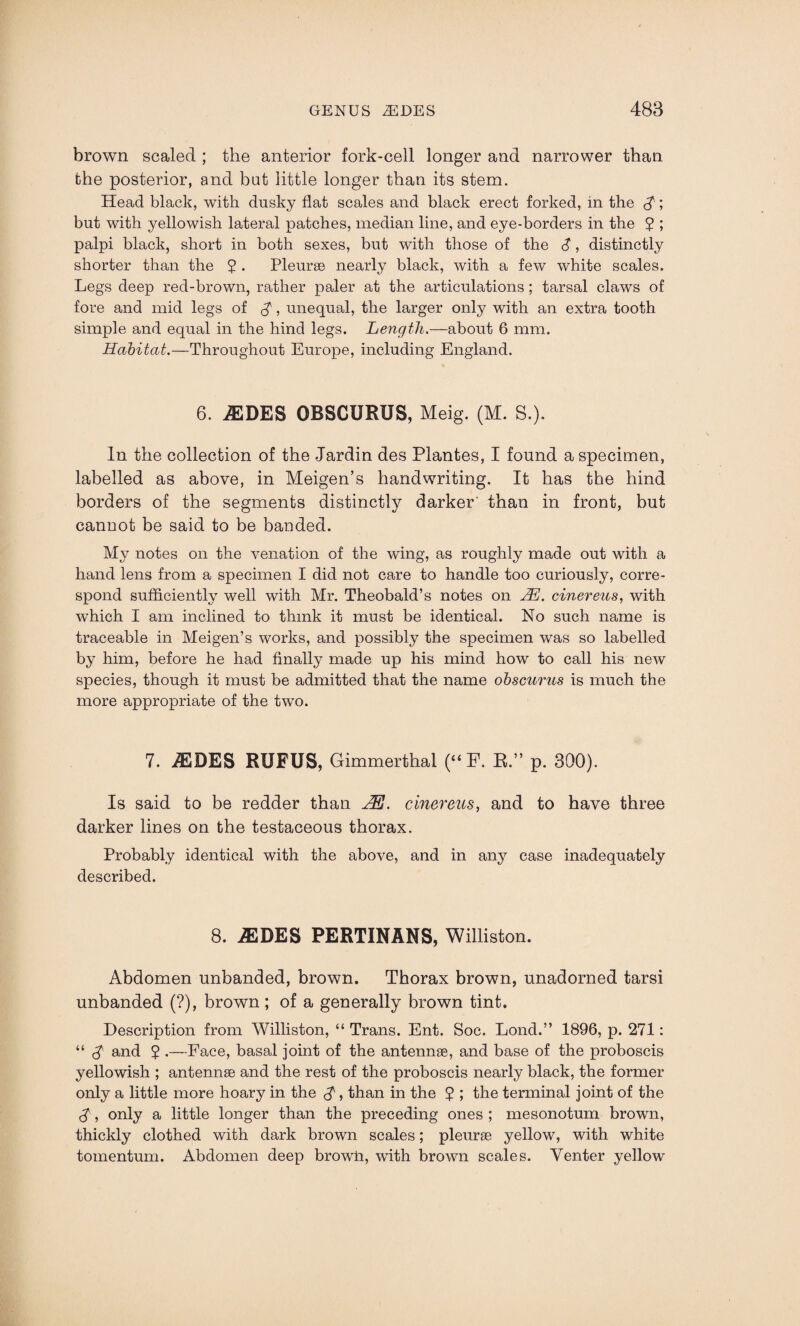brown scaled ; the anterior fork-cell longer and narrower than the posterior, and bat little longer than its stem. Head black, with dusky flat scales and black erect forked, in the $■; but with yellowish lateral patches, median line, and eye-borders in the 2 5 palpi black, short in both sexes, but with those of the S, distinctly shorter than the 2 . Pleurae nearly black, with a few white scales. Legs deep red-brown, rather paler at the articulations ; tarsal claws of fore and mid legs of $, unequal, the larger only with an extra tooth simple and equal in the hind legs. Length.—about 6 mm. Habitat.—Throughout Europe, including England. 6. iEDES OBSCURUS, Meig. (M. S.). In the collection of the Jardin des Plantes, I found a specimen, labelled as above, in Meigen’s handwriting. It has the hind borders of the segments distinctly darker than in front, but cannot be said to be banded. My notes on the venation of the wing, as roughly made out with a hand lens from a specimen I did not care to handle too curiously, corre¬ spond sufficiently well with Mr. Theobald’s notes on JE. cinerens, with which I am inclined to think it must be identical. No such name is traceable in Meigen’s works, and possibly the specimen was so labelled by him, before he had finally made up his mind how to call his new species, though it must be admitted that the name obscurus is much the more appropriate of the two. 7. iEDES RUFUS, Gimmerthal (“ F. R.” p. 300). Is said to be redder than JEJ. cinereus, and to have three darker lines on the testaceous thorax. Probably identical with the above, and in any case inadequately described. 8. iEDES PERTINANS, Williston. Abdomen unbanded, brown. Thorax brown, unadorned tarsi unbanded (?), brown; of a generally brown tint. Description from Williston, “ Trans. Ent. Soc. Lond.” 1896, p. 271: “ £ and 2 .—Face, basal joint of the antennae, and base of the proboscis yellowish ; antennae and the rest of the proboscis nearly black, the former only a little more hoary in the $ , than in the 2 5 the terminal joint of the $, only a little longer than the preceding ones ; mesonotum brown, thickly clothed with dark brown scales; pleurae yellow, with white tomentum. Abdomen deep browh, with brown scales. Venter yellow