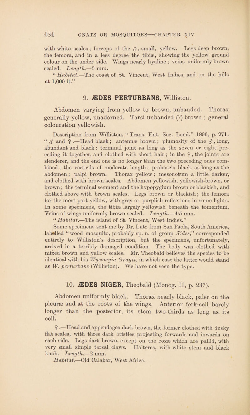 with white scales ; forceps of the $, small, yellow. Legs deep brown, the femora, and in a less degree the tibiae, showing the yellow ground colour on the under side. Wings nearly hyaline ; veins uniformly brown scaled. Length.—3 mm. “ Habitat.—The coast of St. Vincent, West Indies, and on the hills at 1,000 ft.” 9. JEDES PERTURBANS, Williston. Abdomen varying from yellow to brown, unbanded. Thorax generally yellow, unadorned. Tarsi unbanded (?) brown ; general colouration yellowish. Description from Williston, “Trans. Ent. Soc. Lond.” 1896, p. 271: “ £ and 2 .—Head black; antennae brown ; plumosity of the $ , long, abundant and black ; terminal joint as long as the seven or eight pre¬ ceding it together, and clothed with short hair ; in the 2 , the joints are slenderer, and the end one is no longer than the two preceding ones com¬ bined ; the verticils of moderate length; proboscis black, as long as the abdomen ; palpi brown. Thorax yellow ; mesonotum a little darker, and clothed with brown scales. Abdomen yellowish, yellowish-brown, or brown; the terminal segment and the hypopygium brown or blackish, and clothed above with brown scales. Legs brown or blackish; the femora for the most part yellow, with grey or purplish reflections in some lights. In some specimens, the tibiae largely yellowish beneath the tomentum. Veins of wings uniformly brown scaled. Length.—4*5 mm. “Habitat.-—The island of St. Vincent, West Indies.” Some specimens sent me by Dr. Lutz from San Paola, South America, labelled “wood mosquito, probably sp. n. of group Hides” corresponded entirely to Williston’s description, but the specimens, unfortunately, arrived in a terribly damaged condition. The body was clothed with mixed brown and yellow scales. Mr. Theobald believes the species to be identical with his Wyeomyia Grayii, in which case the latter would stand as W. per turbans (Williston). We have not seen the type. 10. jffiBES NIGER, Theobald (Monog. II, p. 237). Abdomen uniformly black. Thorax nearly black, paler on the pleurae and at the roots of the wings. Anterior fork-cell barely longer than the posterior, its stem two-thirds as long as its cell. 2 .—Head and appendages dark brown, the former clothed with dusky flat scales, with three dark bristles projecting forwards and inwards on each side. Legs dark brown, except on the coxae which are pallid, with very small simple tarsal claws. Halteres, with white stem and black knob. Length.—2 mm. Habitat.—Old Calabar, West Africa.