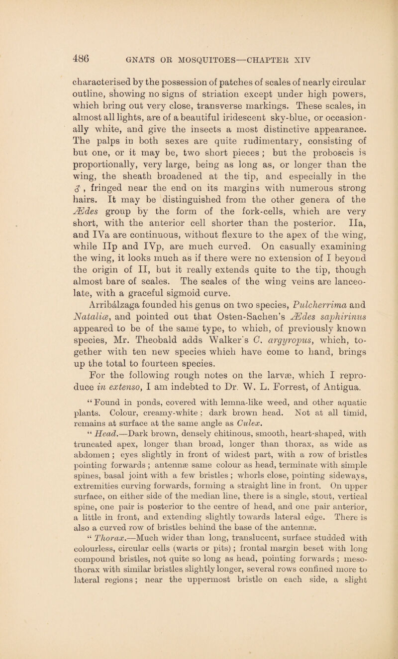 characterised by the possession of patches of scales of nearly circular outline, showing no signs of striation except under high powers, which bring out very close, transverse markings. These scales, in almost all lights, are of a beautiful iridescent sky-blue, or occasion¬ ally white, and give the insects a most distinctive appearance. The palps in both sexes are quite rudimentary, consisting of but one, or it may be, two short pieces ; but the proboscis is proportionally, very large, being as long as, or longer than the wing, the sheath broadened at the tip, and especially in the <y , fringed near the end on its margins with numerous strong hairs. It may be distinguished from the other genera of the Hides group by the form of the fork-cells, which are very short, with the anterior cell shorter than the posterior. Ila, and IVa are continuous, without flexure to the apex of the wing, while Up and IVp, are much curved. On casually examining the wing, it looks much as if there were no extension of I beyond the origin of II, but it really extends quite to the tip, though almost bare of scales. The scales of the wing veins are lanceo¬ late, with a graceful sigmoid curve. Arribahzaga founded his genus on two species, Pulcherrima and Natalies,, and pointed out that Osten-Sachen’s JEdes saphirinus appeared to be of the same type, to which, of previously known species, Mr. Theobald adds Walker's C. argyropus, which, to¬ gether with ten new species which have come to hand, brings up the total to fourteen species. For the following rough notes on the larvae, which I repro¬ duce in extenso, I am indebted to Dr. W. L. Forrest, of Antigua. “Found in ponds, covered with lemna-like weed, and other aquatic plants. Colour, creamy-white : dark brown head. Not at all timid, remains at surface at the same angle as Culex. “ Head.—Dark brown, densely chitinous, smooth, heart-shaped, with truncated apex, longer than broad, longer than thorax, as wide as abdomen ; eyes slightly in front of widest part, with a row of bristles pointing forwards ; antennae same colour as head, terminate with simple spines, basal joint with a few bristles; whorls close, pointing sideways, extremities curving forwards, forming a straight line in front. On upper surface, on either side of the median line, there is a single, stout, vertical spine, one pair is posterior to the centre of head, and one pair anterior, a little in front, and extending slightly7 towards lateral edge. There is also a curved row of bristles behind the base of the antennae. “ Thorax.—Much wider than long, translucent, surface studded with colourless, circular cells (warts or pits) ; frontal margin beset with long- compound bristles, not quite so long as head, pointing forwards ; meso- thorax with similar bristles slightly longer, several rows confined more to lateral regions; near the uppermost bristle on each side, a slight