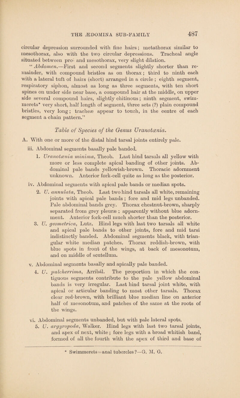 circular depression surrounded with fine hairs; metathorax similar to mesothorax, also with the two circular depressions. Tracheal angle situated between pro- and mesothorax, very slight dilation. “ Abdomen.—First and second segments slightly shorter than re¬ mainder, with compound bristles as on thorax; third to ninth each with a lateral tuft of hairs (short) arranged in a circle ; eighth segment, respiratory siphon, almost as long as three segments, with ten short spines on under side near base, a compound hair at the middle, on upper side several compound hairs, slightly chitinous; ninth segment, swim- merets* very short, half length of segment, three sets (?) plain compound bristles, very long ; tracheae appear to touch, in the centre of each segment a chain pattern.” Table of Species of the Genus Uranotcenia. A. With one or more of the distal hind tarsal joints entirely pale. iii. Abdominal segments basally pale banded. 1. Uranotce?iia minima, Tlieob. Last hind tarsals all yellow with more or less complete apical banding of other joints. Ab¬ dominal pale bands yellowish-brown. Thoracic adornment unknown. Anterior fork-cell quite as long as the posterior. iv. Abdominal segments with apical pale bands or median spots. 2. TJ. annulata, Theob. Last two hind tarsals all white, remaining joints with apical pale bands ; fore and mid legs unbanded. Pale abdominal bands grey. Thorax chestnut-brown, sharply separated from grey pleurae ; apparently without blue adorn¬ ment. Anterior fork-cell much shorter than the posterior. 3. TJ. geometrica, Lutz. Hind legs with last two tarsals all white and apical pale bands to other joints, fore and mid tarsi indistinctly banded. Abdominal segments black, with trian¬ gular white median patches. Thorax reddish-brown, with blue spots in front of the wings, at back of mesonotum, and on middle of scutellum. v. Abdominal segments basally and apically pale banded. 4. U. pulcherrima, Arribal. The proportion in which the con¬ tiguous segments contribute to the pale yellow abdominal bands is very irregular. Last hind tarsal joint white, with apical or articular banding to most other tarsals. Thorax clear red-brown, with brilliant blue median line on anterior half of mesonotum, and patches of the same at the roots of the wings. vi. Abdominal segments unbanded, but with pale lateral spots. 5. U. argyropoda, Walker. Hind legs with last two tarsal joints, and apex of next, white; fore legs with a broad whitish band, formed of all the fourth with the apex of third and base of Swimmerets^anal tubercles ?—G-. M. G.