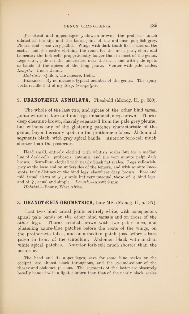 A.—Head and appendages yellowish-brown ; the proboscis much dilated at the tip, and the basal joint of the antennae purplish-grey. Pleurae and coxae very pallid. Wings with dark tooth-like scales on the costa; and the scales clothing the veins, for the most part, short and truncate; the fork-cells proportionally longer than in most of the genus. Legs dark, pale on the undersides near the base, and with pale spots or bands at the apices of the long joints. Venter with pale scales. Length.—Under 2 mm. Habitat.—Quilon, Travancore, India. Remarks.—By no means a typical member of the genus. The spiny costa recalls that of my Steg. brevipalpis. 2. URANOT^NIA ANNULATA, Theobald (Monog. II, p. 250). The whole of the last two, and apices of the other hind tarsal joints whitish ; fore and mid legs unbanded, deep brown. Thorax deep chestnut-brown, sharply separated from the pale grey pleurae, but without any of the glistening patches characteristic of the genus, beyond creamy spots on the prothoracic lobes. Abdominal segments black, with grey apical bands. Anterior fork-cell much shorter than the posterior. Head small, entirely clothed with whitish scales but for a median line of dark cells; proboscis, antennae, and the very minute palpi, dark brown. Scutellum clothed with nearly black flat scales. Legs yellowish- grey at the base and on undersides of the femora, and with minute knee- spots, fairly distinct on the hind legs, elsewhere deep brown. Fore and mid tarsal claws of A, simple but very unequal, those of A hind legs, and of 5 , equal and simple. Length.—About 2 mm. Habitat.—Bonny, West Africa. 3. URANOTiENIA GEOMETRICA, Lutz MS. (Monog. II, p. 247). Last two hind tarsal joints entirely white, with conspicuous apical pale bands on the other hind tarsals and on those of the other legs. Thorax reddish-brown with two paler lines, and glistening azure-blue patches before the roots of the wings, on the prothoracic lobes, and on a median patch just before a bare patch in front of the scutellum. Abdomen black with median white apical patches. Anterior fork-cell much shorter than the posterior. The head and its appendages, save for some blue scales on the occiput, are almost black throughout, and the ground-colour of the thorax and abdomen piceous. The segments of the latter are obscurely basally banded with a lighter brown than that of the nearly black scales