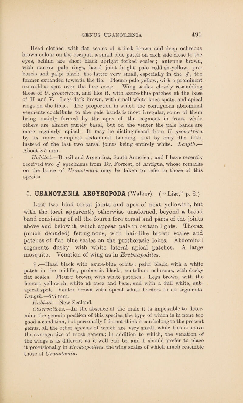 Head clothed with flat scales of a dark brown and deep ochreous brown colour on the occiput, a small blue patch on each side close to the eyes, behind are short black upright forked scales ; antennae brown, with narrow pale rings, basal joint bright pale red dish-yellowy pro¬ boscis and palpi black, the latter very small, especially in the $, the former expanded towards the tip. Pleurae pale yellow, with a prominent azure-blue spot over the fore coxae. Wing scales closely resembling those of U. geometrica, and like it, with azure-blue patches at the base of II and Y. Legs dark brown, with small white knee-spots, and apical rings on the tibiae. The proportion in which the contiguous abdominal segments contribute to the pale bands is most irregular, some of them being mainly formed by the apex of the segment in front, while others are almost purely basal, but on the venter the pale bands are more regularly apical. It may be distinguished from U. geometrica by its more complete abdominal banding, and by only the fifth, instead of the last two tarsal joints being entirely white. Length.— About 2*5 mm. Habitat.—Brazil and Argentina, South America ; and I have recently received two A specimens from Dr. Forrest, of Antigua, whose remarks on the larvae of Uranotcenia mav be taken to refer to those of this species. 5. URANOTAENIA ARGYROPODA (Walker). (“List,” p. 2.) Last two hind tarsal joints and apex of next yellowish, but with the tarsi apparently otherwise unadorned, beyond a broad band consisting of all the fourth fore tarsal and parts of the joints above and below it, which appear pale in certain lights. Thorax (much denuded) ferruginous, with hair-like brown scales and patches of flat blue scales on the prothoracic lobes. Abdominal segments dusky, with white lateral apical patches. A large mosquito. Venation of wing as in Eretmajooditcs. 5 .—Head black with azure-blue orbits; palpi black, with a white patch in the middle; proboscis black; scutellum ochreous, with dusky flat scales. Pleurae brown, with white patches./ Legs brown, with the femora yellowish, white at apex and base, and with a dull white, sub- a£)ical spot. Venter brown with apical white borders to its segments. Length.—7'5 mm. Habitat.—New Zealand. Observations.—In the absence of the male it is impossible to deter¬ mine the generic position of this species, the type of which is in none too good a condition, but personally I do not think it can belong to the present genus, all the other species of which are very small, while this is above the average size of most genera; in addition to which, the venation of the wings is as different as it well can be, and I should prefer to place it provisionally in Eremapodites, the wing scales of which much resemble those of Uranotcenia.