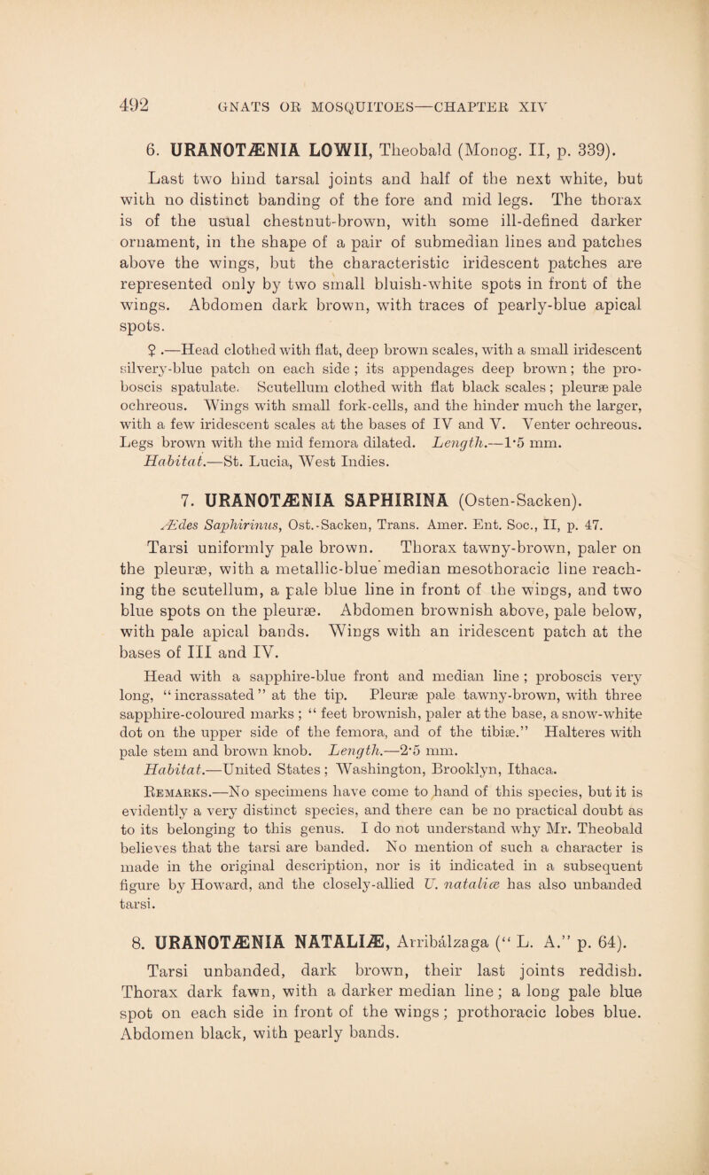 6. URANOTiENIA LOWII, Theobald (Monog. II, p. 339). Last two hind tarsal joints and half of the next white, but with no distinct banding of the fore and mid legs. The thorax is of the usual chestnut-brown, with some ill-defined darker ornament, in the shape of a pair of submedian lines and patches above the wings, but the characteristic iridescent patches are represented only by two small bluish-white spots in front of the wings. Abdomen dark brown, with traces of pearly-blue apical spots. 5 .—Head clothed with flat, deep brown scales, with a small iridescent silvery-blue patch on each side ; its appendages deep brown; the pro¬ boscis spatulate. Scutellum clothed with flat black scales ; pleurae pale ochreous. Wings with small fork-cells, and the hinder much the larger, with a few iridescent scales at the bases of IV and V. Venter ochreous. Legs brown with the mid femora dilated. Length.—1*5 mm. Habitat.—St. Lucia, West Indies. 7. URANOTiENIA SAPHIRINA (Osten-Sacken). Aides Saphirimis, Ost.-Sacken, Trans. Amer. Ent. Soc., II, p. 47. Tarsi uniformly pale brown. Thorax tawny-brown, paler on the pleurae, with a metallic-blue median mesothoracic line reach¬ ing the scutellum, a pale blue line in front of the wings, and two blue spots on the pleurae. Abdomen brownish above, pale below, with pale apical bands. Wings with an iridescent patch at the bases of III and IV. Head with a sapphire-blue front and median line ; proboscis very long, “ incrassated ” at the tip. Pleurae pale tawny-brown, with three sapphire-coloured marks ; “ feet brownish, paler at the base, a snow-white dot on the upper side of the femora, and of the tibiae.” Halteres with pale stem and brown knob. Length.—2*5 mm. Habitat.—United States ; Washington, Brooklyn, Ithaca. Remarks.—No specimens have come to hand of this species, but it is evidently a very distinct species, and there can be no practical doubt as to its belonging to this genus. I do not understand why Mr. Theobald believes that the tarsi are banded. No mention of such a character is made in the original description, nor is it indicated in a subsequent figure by Howard, and the closely-allied U. natalice has also unbanded tarsi. 8. XJRAN0TA2NIA NATALIAS, Arribalzaga (“ L. A.” p. 64). Tarsi unbanded, dark brown, their last joints reddish. Thorax dark fawn, with a darker median line; a long pale blue spot on each side in front of the wings; prothoracic lobes blue. Abdomen black, with pearly bands.