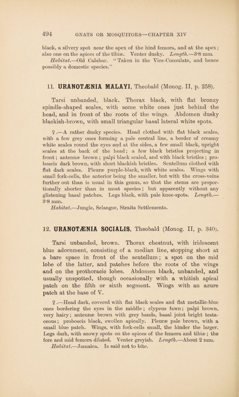 black, a silvery spot near the apex of the hind femora, and at the apex; also one on the apices of the tibiae. Venter dusky. Length.—3*8 mm. Habitat.—Old Calabar. “ Taken in the Vice-Consulate, and hence possibly a domestic species.” 11. URANOTiENIA MALAYI, Theobald (Monog. II, p. 258). Tarsi unbanded, black. Thorax black, with flat bronzy spindle-shaped scales, with some wdiite ones just behind the head, and in front of the roots of the wings. Abdomen dusky blackish-brown, with small triangular basal lateral white spots. 5 .—A rather dusky species. Head clothed with flat black scales, with a few grey ones forming a pale central line, a border of creamy white scales round the eyes and at the sides, a few small black, upright scales at the back of the head; a few black bristles projecting in front; antennae brown ; palpi black scaled, and with black bristles ; pro¬ boscis dark brown, writh short blackish bristles. Scutellum clothed with flat dark scales. Pleurae purple-black, with white scales. Wings with small fork-cells, the anterior being the smaller, but with the cross-veins further out than is usual in this genus, so that the stems are propor¬ tionally shorter than in most species; but apparently without any glistening basal patches. Legs black, with pale knee-spots. Length.— 3’8 mm. Habitat.—Jungle, Selangor, Straits Settlements. 12. URAN0TA3NIA SOCIALIS, Theobald (Monog. II, p. 340). Tarsi unbanded, brown. Thorax chestnut, with iridescent blue adornment, consisting of a median line, stopping short at a bare space in front of the scutellum; a spot on the mid lobe of the latter, and patches before the roots of the wings and on the prothoracic lobes. Abdomen black, unbanded, and usually unspotted, though occasionally with a whitish apical patch on the fifth or sixth segment. Wings with an azure patch at the base of V. 5 .—Head dark, covered with flat black scales and flat metallic-blue ones bordering the eyes in the middle; clypeus fawn; palpi brown, very hairy; antennae brown with grey bands, basal joint bright testa¬ ceous ; proboscis black, swollen apically. Pleurae pale brown, with a small blue patch. Wings, with fork-cells small, the hinder the larger. Legs dark, with snowy spots on the apices of the femora and tibiae ; the fore and mid femora dilated. Venter greyish. Length.—About 2 mm. Habitat.—Jamaica. Is said not to bite.