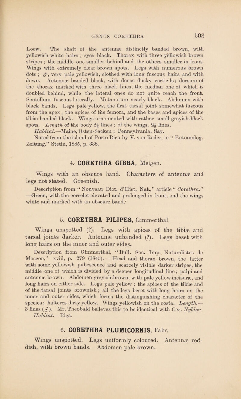 Loew. The shaft of the antennae distinctly banded brown, with yellowish-white hairs ; eyes black. Thorax with three yellowish-brown stripes ; the middle one smaller behind and the others smaller in front. Wings with extremely clear brown spots. Legs with numerous brown dots ; $, very pale yellowish, clothed with long fuscous hairs and with down. Antennae banded black, with dense dusky verticils; dorsum of the thorax marked with three black lines, the median one of which is doubled behind, while the lateral ones do not quite reach the front. Scutellum fuscous laterally. Metanotum nearly black. Abdomen with black bands. Legs pale yellow, the first tarsal joint somewhat fuscous from the apex ; the apices of the femora, and the bases and apices of the tibiae banded black. Wings ornamented with rather small greyish-black spots. Length of the body lines ; of the wings, 2^ lines. Habitat.—Maine, Osten-Sacken ; Pennsylvania, Say. Noted from the island of Porto Rico by V. von Roder, in “ Entomolog. Zeitung.” Stetin, 1885, p. 838. 4. CORETHRA GIBBA, Meigen. Wings with an obscure band. Characters of antennae and legs not stated. Greenish. Description from “Nouveau Diet. d’Hist. Nat.,” article “ Corethra.” —Green, with the corselet elevated and prolonged in front, and the wings white and marked with an obscure band.1 5. CORETHRA PILIPES, Gimmerthal. Wings unspotted (?). Legs with apices of the tibiae and tarsal joints darker. Antennae unbanded (?). Legs beset with long hairs on the inner and outer sides. Description from Gimmerthal, “Bull. Soc. Imp. Naturalistes de Moscou,” xviii, p. 279 (1845). — Head and thorax brown, the latter with some yellowish pubescence and scarcely visible darker stripes, the middle one of which is divided by a deeper longitudinal line ; palpi and antennae brown. Abdomen greyish-brown, with pale yellow incisurae, and long hairs on either side. Legs pale yellow ; the apices of the tibiae and of the tarsal joints brownish ; all the legs beset with long hairs on the inner and outer sides, which forms the distinguishing character of the species ; halteres dirty yellow. Wings yellowish on the costa. Length.— 3 lines (8s). Mr. Theobald believes this to be identical with Cor. Nyblcei. Habitat.—Riga. 6. CORETHRA PLUMICORNIS, Fabr. Wings unspotted. Legs uniformly coloured. Antennae red¬ dish, with brown bands. Abdomen pale brown.