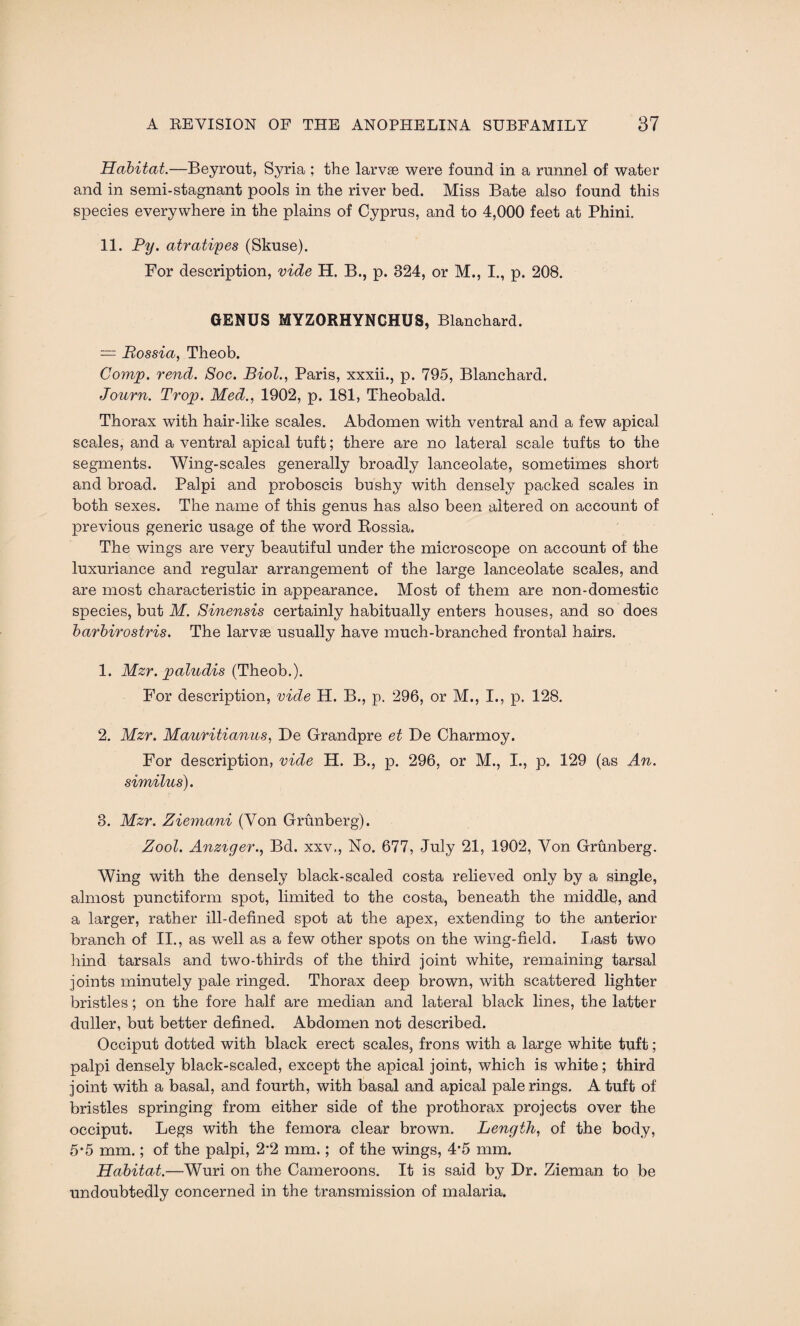 Habitat.—Beyrout, Syria ; the larvae were found in a runnel of water and in semi-stagnant pools in the river bed. Miss Bate also found this species everywhere in the plains of Cyprus, and to 4,000 feet at Phini. 11. Py. atratiyes (Skuse). For description, vide H. B., p. 324, or M., I., p. 208. GENUS MYZORHYNCHUS, Blanchard. = Bossia, Theob. Corny, rend. Soc. Biol., Paris, xxxii., p. 795, Blanchard. Journ. Troy. Med., 1902, p. 181, Theobald. Thorax with hair-like scales. Abdomen with ventral and a few apical scales, and a ventral apical tuft; there are no lateral scale tufts to the segments. Wing-scales generally broadly lanceolate, sometimes short and broad. Palpi and proboscis bushy with densely packed scales in both sexes. The name of this genus has also been altered on account of previous generic usage of the word Rossia. The wings are very beautiful under the microscope on account of the luxuriance and regular arrangement of the large lanceolate scales, and are most characteristic in appearance. Most of them are non-domestic species, but M. Sinensis certainly habitually enters houses, and so does barbirostris. The larvae usually have much-branched frontal hairs. 1. Mzr. yaludis (Theob.). For description, vide H. B., p. 296, or M., I., p. 128. 2. Mzr. Mauritianus, De Grandpre et De Charmoy. For description, vide H. B., p. 296, or M., I., p. 129 (as An. similus). 8. Mzr. Ziemani (Von Grunberg). Zool. Anziger., Bd. xxv,, No. 677, July 21, 1902, Von Grunberg. Wing with the densely black-scaled costa relieved only by a single, almost punctiform spot, limited to the costa, beneath the middle, and a larger, rather ill-defined spot at the apex, extending to the anterior branch of II., as well as a few other spots on the wing-field. Last two hind tarsals and two-thirds of the third joint white, remaining tarsal joints minutely pale ringed. Thorax deep brown, with scattered lighter bristles; on the fore half are median and lateral black lines, the latter duller, but better defined. Abdomen not described. Occiput dotted with black erect scales, frons with a large white tuft; palpi densely black-scaled, except the apical joint, which is white; third joint with a basal, and fourth, with basal and apical pale rings. A tuft of bristles springing from either side of the prothorax projects over the occiput. Legs with the femora clear brown. Length, of the body, 5*5 mm.; of the palpi, 2*2 mm.; of the wings, 4*5 mm. Habitat.—Wuri on the Cameroons. It is said by Dr. Zieman to be undoubtedly concerned in the transmission of malaria.