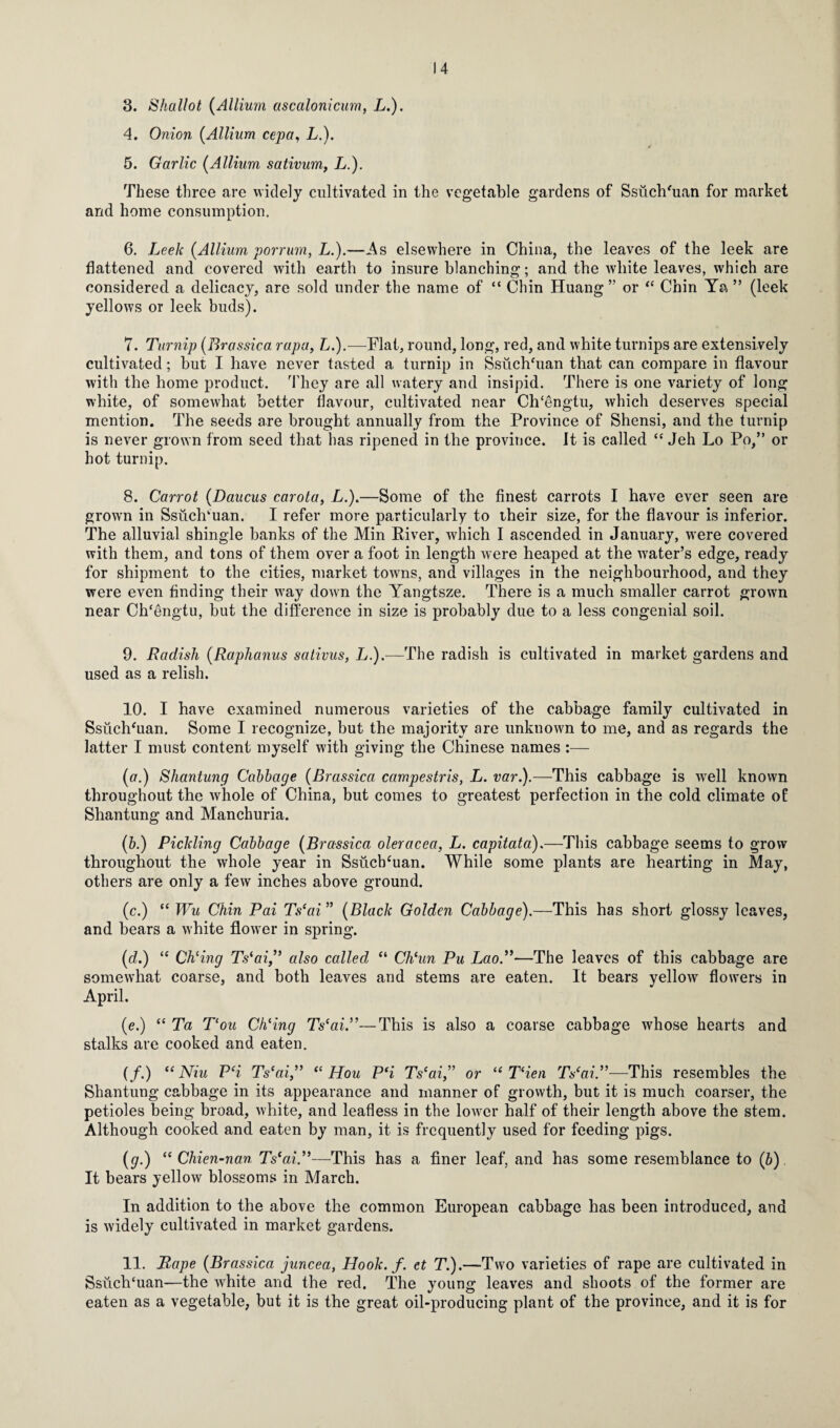 3. Shallot {Allium ascalonicum, L.). 4. Onion {.Allium cepa, L.). 5. Garlic {Allium sativum, L.). These three are widely cultivated in the vegetable gardens of Ssuch'uan for market and home consumption. 6. Leek {Allium porrum, L.).—As elsewhere in China, the leaves of the leek are flattened and covered with earth to insure blanching; and the white leaves, which are considered a delicacy, are sold under the name of “ Chin Huang ” or “ Chin Ya ” (leek yellows or leek buds). 7. Turnip {Brassica rapa, L.).—Flat, round, long, red, and white turnips are extensively cultivated; but I have never tasted a turnip in Ssuchflian that can compare in flavour with the home product. They are all watery and insipid. There is one variety of long white, of somewhat better flavour, cultivated near Clflengtu, which deserves special mention. The seeds are brought annually from the Province of Shensi, and the turnip is never grown from seed that has ripened in the province. It is called “ Jeh Lo Po,” or hot turnip. 8. Carrot {Daucus carota, L.).—Some of the finest carrots I have ever seen are grown in Ssuclfluan. I refer more particularly to their size, for the flavour is inferior. The alluvial shingle banks of the Min River, which I ascended in January, were covered with them, and tons of them over a foot in length were heaped at the water’s edge, ready for shipment to the cities, market towns, and villages in the neighbourhood, and they were even finding their way down the Yangtsze. There is a much smaller carrot grown near Ch‘6ngtu, but the difference in size is probably due to a less congenial soil. 9. Radish {Raphanus sativus, L.).—The radish is cultivated in market gardens and used as a relish. 10. I have examined numerous varieties of the cabbage family cultivated in Ssiichhian. Some I recognize, but the majority are unknown to me, and as regards the latter I must content myself with giving the Chinese names :— {a.) Shantung Cabbage (Brassica campestris, L. var.).—This cabbage is well known throughout the whole of China, but comes to greatest perfection in the cold climate of Shantung and Manchuria. (&.) Pickling Cabbage {Brassica oleracea, L. capitata).—This cabbage seems to grow throughout the whole year in SsuclPuan. While some plants are hearting in May, others are only a few inches above ground. (c.) “ Wu Chin Pai Ts‘ai ” {Black Golden Cabbage).—This has short glossy leaves, and bears a white flower in spring. {d.) “ Ch‘ing Ts'ai,” also called “ Ch(un Pu Lao.”—The leaves of this cabbage are somewhat coarse, and both leaves and stems are eaten. It bears yellow flowers in April. {e.) “ Ta T‘ou Chling Tseai.”—This is also a coarse cabbage whose hearts and stalks are cooked and eaten. (/.) “Niu P(i Tscai,” “ Hou P‘i Ts'ai” or “ Tien Ts‘ai.”—This resembles the Shantung cabbage in its appearance and manner of growth, but it is much coarser, the petioles being broad, white, and leafless in the lower half of their length above the stem. Although cooked and eaten by man, it is frequently used for feeding pigs. (g.) <c Chien-nan Ts‘ai.”—This has a finer leaf, and has some resemblance to (b) It bears yellow blossoms in March. In addition to the above the common European cabbage has been introduced, and is widely cultivated in market gardens. 11. Rape {Brassica juncea, Hook. f. et T.).—Two varieties of rape are cultivated in SsuclPuan—the white and the red. The young leaves and shoots of the former are eaten as a vegetable, but it is the great oil-producing plant of the province, and it is for