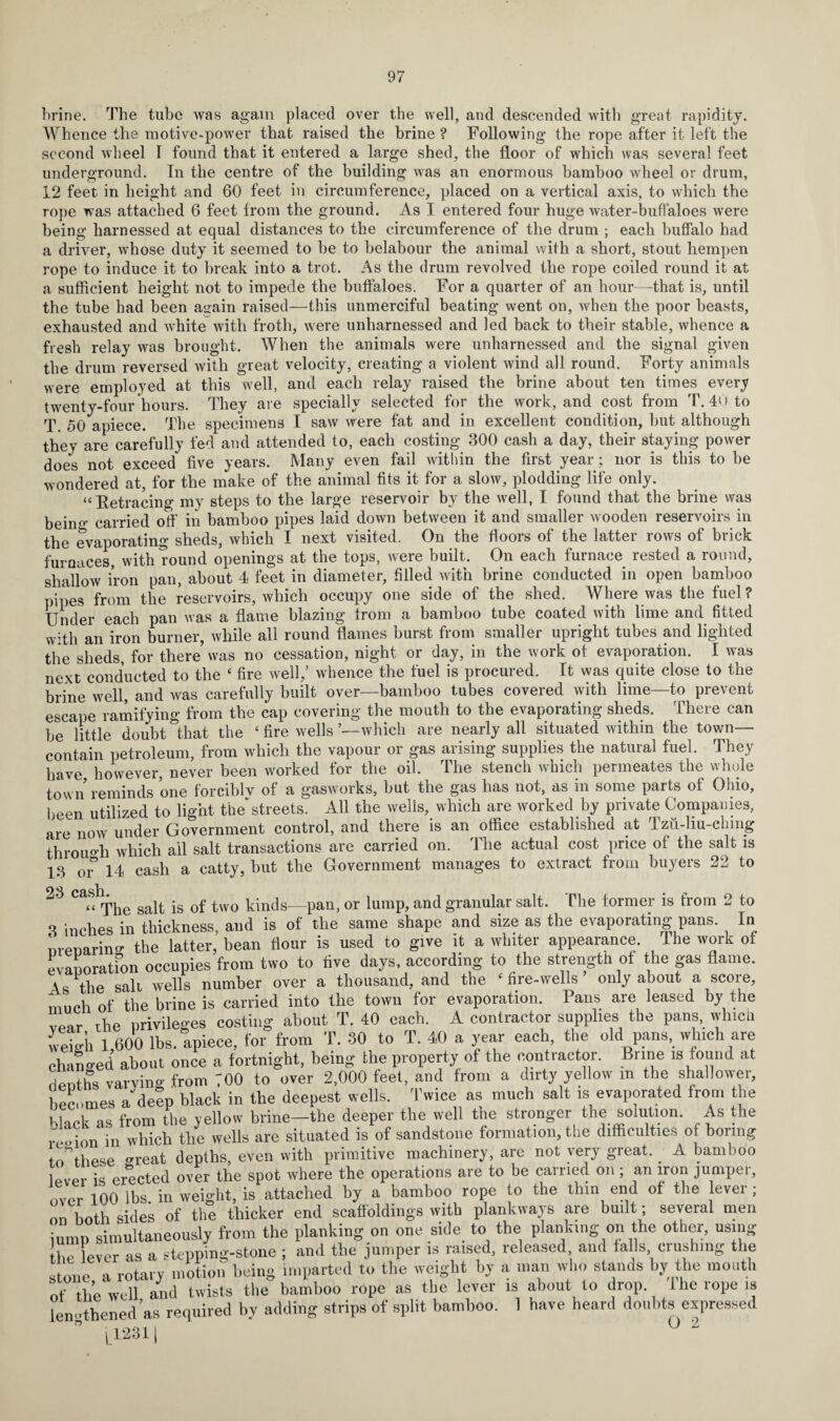 brine. The tube was again placed over the well, and descended with great rapidity. Whence the motive-power that raised the brine ? Following the rope after it left the second wheel I found that it entered a large shed, the floor of which was several feet underground. In the centre of the building was an enormous bamboo wheel or drum, 12 feet in height and 60 feet in circumference, placed on a vertical axis, to which the rope was attached 6 feet from the ground. As I entered four huge water-buffaloes were being harnessed at equal distances to the circumference of the drum ; each buffalo had a driver, whose duty it seemed to be to belabour the animal with a short, stout hempen rope to induce it to break into a trot. As the drum revolved the rope coiled round it at a sufficient height not to impede the buffaloes. For a quarter of an hour—-that is, until the tube had been again raised—this unmerciful beating went on, when the poor beasts, exhausted and white with froth, were unharnessed and led back to their stable, whence a fresh relay was brought. When the animals were unharnessed and the signal given the drum reversed with great velocity, creating a violent wind all round. Forty animals were employed at this well, and each relay raised the brine about ten times every twenty-four hours. They are specially selected for the work, and cost from T. 40 to T. 50 apiece. The specimens I saw were fat and in excellent condition, but although they are carefully fed and attended to, each costing 300 cash a day, their staying power does not exceed five years. Many even fail within the first year; nor is this to be wondered at, for the make of the animal fits it for a slow, plodding life only. “ Retracing my steps to the large reservoir by the well, I found that the brine was beino- carried off in bamboo pipes laid down between it and smaller wooden reservoirs in the evaporating sheds, which I next visited. On the floors of the latter rows of brick furnaces, with round openings at the tops, were built. On each furnace rested a round, shallow iron pan, about 4 feet in diameter, filled with brine conducted in open bamboo pipes from the reservoirs, which occupy one side of the shed. Where was the fuel? Under each pan was a flame blazing from a bamboo tube coated with lime and fitted with an iron burner, while all round flames burst from smaller upright tubes and lighted the sheds, for there was no cessation, night or day, in the work of evaporation. I was next conducted to the ‘ fire well,’ whence the fuel is procured. It was quite close to the brine well, and was carefully built over—bamboo tubes covered with lime—to prevent escape ramifying from the cap covering the mouth to the evaporating sheds. There can be little doubt that the ‘ fire wells —which are nearly all situated within the town— contain petroleum, from which the vapour or gas arising supplies the natural fuel. They have however, never been worked for the oil. The stench which permeates the whole town reminds one forciblv of a gasworks, but the gas has not, as in some parts of Ohio, been utilized to light the* streets. All the wells,, which are worked by private Companies, are now under Government control, and there is an office established at Izii-liu-chmg through which ail salt transactions are carried on. The actual cost price of the salt is 13 or 14 cash a catty, but the Government manages to extract from buyers 22 to 23 c<isb» . ,, “ The salt is of two kinds—pan, or lump, and granular salt. Die former is trom 2 to ., jnches in thickness and is of the same shape and size as the evaporating pans. In nrenaring the latter, bean flour is used to give it a whiter appearance. The work of evaporation occupies from two to five days, according to the strength ot the gas flame. As the sail wells number over a thousand, and the ‘fire-wells’ only about a score, much of the brine is carried into the town for evaporation. Pans are leased by the ‘ the privileges costing about T. 40 each. A contractor supplies the pans, whicli weiDh 1 600 lbs. apiece, for from T. 30 to T. 40 a year each, the old pans, which are changed about once a fortnight, being the property of the contractor. Brine is found at denths varying from 700 to over 2,000 feet, and from a dirty yellow in the shallower, becomes a'deep black in the deepest wells. Twice as much salt is evaporated from the black as from the yellow brine-the deeper the well the stronger the solution. As the A ion in which the wells are situated is of sandstone formation, the difficulties of boring .these „reat depths, even with primitive machinery, are not very great. _ A bamboo lever is erected over the spot where the operations are to be carried on ; an iron jumper, over 100 lbs in weight, is attached by a bamboo rope to the thin end of the lever ; on hoth sides of the thicker end scaffoldings with plankvvays are built; several men iump simultaneously from the planking on one side to the planking on the other, using he lever as a stepping-stone ; and the jumper is raised, released and falls crushing the S one a rotary motion being imparted to the weight by a man who stands by the mouth of the well and twists the bamboo rope as the lever is about to drop 1 he rope is lengthened as required bv adding strips of split bamboo. 1 have heard doubts expressed ° L1231| U 2