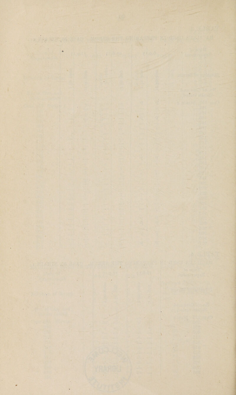 •v * / I ' : T ■ , ♦