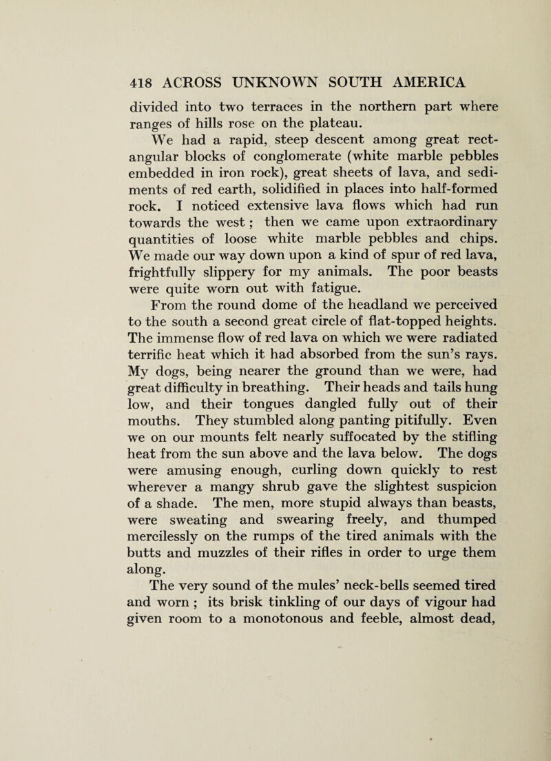 divided into two terraces in the northern part where ranges of hills rose on the plateau. We had a rapid, steep descent among great rect¬ angular blocks of conglomerate (white marble pebbles embedded in iron rock), great sheets of lava, and sedi¬ ments of red earth, solidified in places into half-formed rock. I noticed extensive lava flows which had run towards the west; then we came upon extraordinary quantities of loose white marble pebbles and chips. We made our way down upon a kind of spur of red lava, frightfully slippery for my animals. The poor beasts were quite worn out with fatigue. From the round dome of the headland we perceived to the south a second great circle of flat-topped heights. The immense flow of red lava on which we were radiated terrific heat which it had absorbed from the sun’s rays. My dogs, being nearer the ground than we were, had great difficulty in breathing. Their heads and tails hung low, and their tongues dangled fully out of their mouths. They stumbled along panting pitifully. Even we on our mounts felt nearly suffocated by the stifling heat from the sun above and the lava below. The dogs were amusing enough, curling down quickly to rest wherever a mangy shrub gave the slightest suspicion of a shade. The men, more stupid always than beasts, were sweating and swearing freely, and thumped mercilessly on the rumps of the tired animals with the butts and muzzles of their rifles in order to urge them along. The very sound of the mules’ neck-bells seemed tired and worn ; its brisk tinkling of our days of vigour had given room to a monotonous and feeble, almost dead,