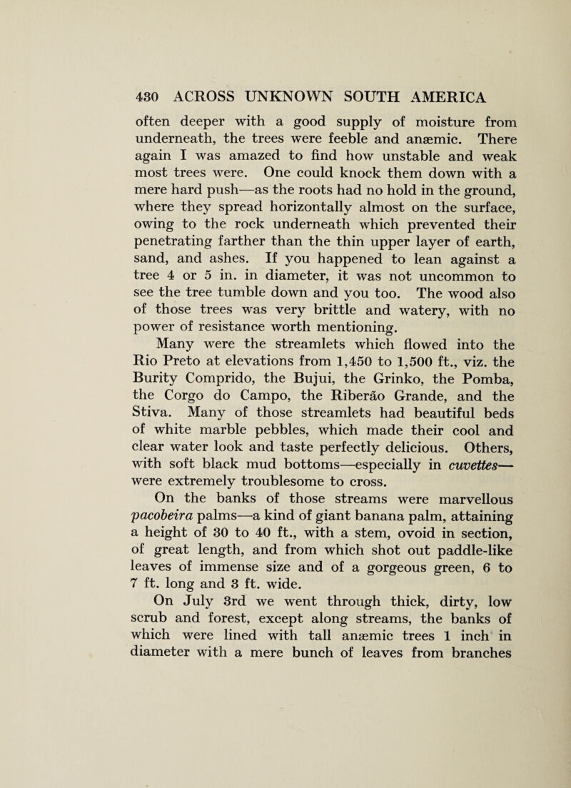often deeper with a good supply of moisture from underneath, the trees were feeble and anaemic. There again I was amazed to find how unstable and weak most trees were. One could knock them down with a mere hard push—as the roots had no hold in the ground, where they spread horizontally almost on the surface, owing to the rock underneath which prevented their penetrating farther than the thin upper layer of earth, sand, and ashes. If you happened to lean against a tree 4 or 5 in. in diameter, it was not uncommon to see the tree tumble down and you too. The wood also of those trees was very brittle and watery, with no power of resistance worth mentioning. Many were the streamlets which flowed into the Rio Preto at elevations from 1,450 to 1,500 ft., viz. the Burity Comprido, the Bujui, the Grinko, the Pomba, the Corgo do Campo, the Riberao Grande, and the Stiva. Many of those streamlets had beautiful beds of white marble pebbles, which made their cool and clear water look and taste perfectly delicious. Others, with soft black mud bottoms—especially in cuvettes— were extremely troublesome to cross. On the banks of those streams were marvellous ;pacobeira palms—a kind of giant banana palm, attaining a height of 30 to 40 ft., with a stem, ovoid in section, of great length, and from which shot out paddle-like leaves of immense size and of a gorgeous green, 6 to 7 ft. long and 3 ft. wide. On July 3rd we went through thick, dirty, low scrub and forest, except along streams, the banks of which were lined with tall anaemic trees 1 inch in diameter with a mere bunch of leaves from branches