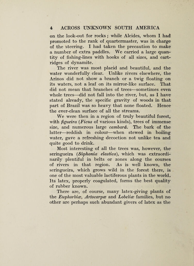 on the look-out for rocks ; while Alcides, whom I had promoted to the rank of quartermaster, was in charge of the steering. I had taken the precaution to make a number of extra paddles. We carried a large quan¬ tity of fishing-lines with hooks of all sizes, and cart¬ ridges of dynamite. The river was most placid and beautiful, and the water wonderfully clear. Unlike rivers elsewhere, the Arinos did not show a branch or a twig floating on its waters, not a leaf on its mirror-like surface. That did not mean that branches of trees—sometimes even whole trees—did not fall into the river, but, as I have stated already, the specific gravity of woods in that part of Brazil was so heavy that none floated. Hence the ever-clean surface of all the streams. We were then in a region of truly beautiful forest,, with figueira (Ficus of various kinds), trees of immense size, and numerous large cambara. The bark of the latter—reddish in colour—when stewed in boiling water, gave a refreshing decoction not unlike tea and quite good to drink. Most interesting of all the trees was, however, the seringueira (Siphonia elastica), which was extraordi¬ narily plentiful in belts or zones along the courses, of rivers in that region. As is well known, the seringueira, which grows wild in the forest there, is one of the most valuable lactiferous plants in the world. Its latex, properly coagulated, forms the best quality of rubber known. There are, of course, many latex-giving plants of the Euphorbice, Artocarpce and Lobelice families, but no other are perhaps such abundant givers of latex as the