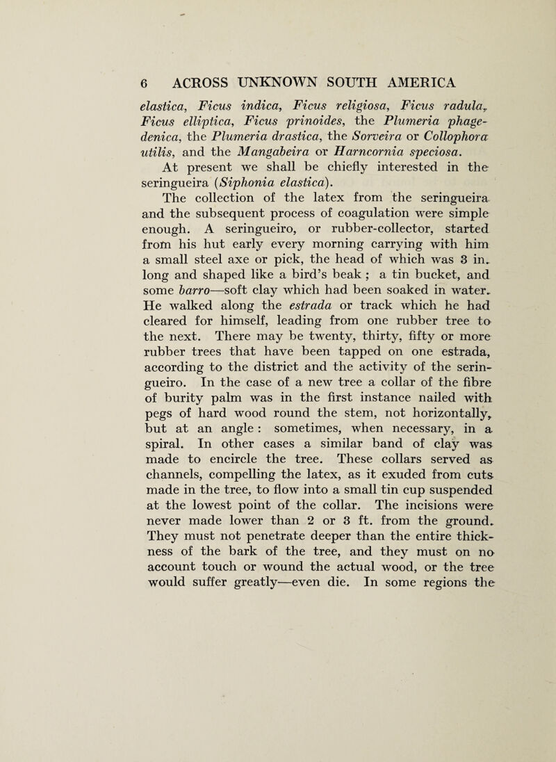 elastica, Ficus indica, Ficus religiosa, Ficus radulay Ficus elliptica, Ficus prinoides, the Plumeria phage- denica, the Plumeria drastica, the Sorveira or Collophora utilis, and the Mangabeira or Harncornia speciosa. At present we shall be chiefly interested in the seringueira (Siphonia elastica). The collection of the latex from the seringueira and the subsequent process of coagulation were simple enough. A seringueiro, or rubber-collector, started from his hut early every morning carrying with him a small steel axe or pick, the head of which was 3 in. long and shaped like a bird’s beak ; a tin bucket, and some barro—soft clay which had been soaked in water. He walked along the estrada or track which he had cleared for himself, leading from one rubber tree to the next. There may be twenty, thirty, fifty or more rubber trees that have been tapped on one estrada, according to the district and the activity of the serin¬ gueiro. In the case of a new tree a collar of the fibre of burity palm was in the first instance nailed with pegs of hard wood round the stem, not horizontally* but at an angle : sometimes, when necessary, in a spiral. In other cases a similar band of clay was made to encircle the tree. These collars served as channels, compelling the latex, as it exuded from cuts made in the tree, to flow into a small tin cup suspended at the lowest point of the collar. The incisions were never made lower than 2 or 3 ft. from the ground. They must not penetrate deeper than the entire thick¬ ness of the bark of the tree, and they must on no account touch or wound the actual wood, or the tree would suffer greatly—even die. In some regions the