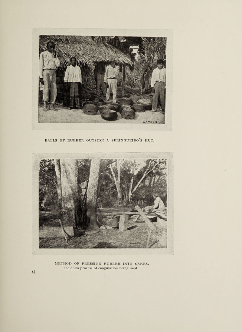BALLS OF RUBBER OUTSIDE A SERINGUEIRO S HUT. METHOD OF PRESSING RUBBER INTO CAKES The alum process of coagulation being used.