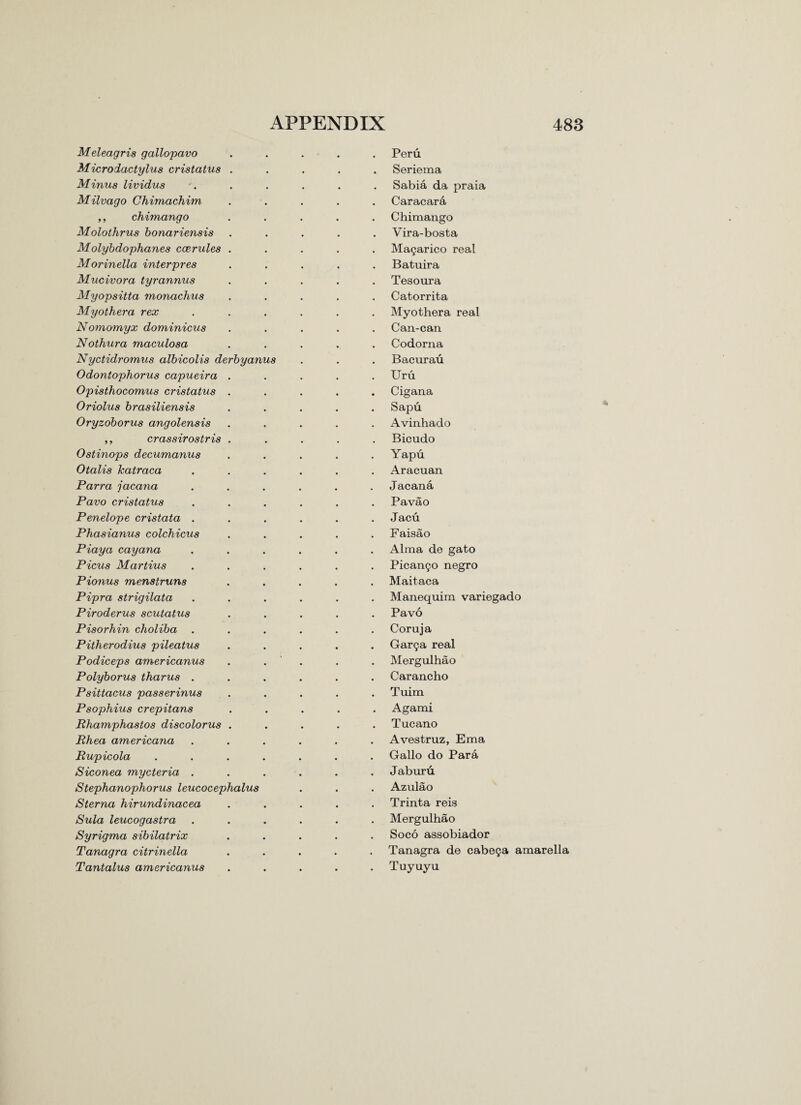 Meleagris gallopavo Microdactylus cristatus Minus lividus Milvago Chimachim ,, chimango Molothrus bonariensis Molybdophanes ccerules Morinella inter pres Mucivora tyrannus Myopsitta monachus My other a rex Nomomyx dominicus Nothura maculosa Nyctidromus albicolis derbyanus Odontophorus capueira Opisthocomus cristatus Oriolus brasiliensis Oryzoborus angolensis ,, crassirostris Ostinops decumanus Otalis katraca Parra jacana Pavo cristatus Penelope cristata . Phasianus colchicus Piaya cayana Picus Martius Pionus menstruns Pipra strigilata Piroderus scutatus Pisorhin choliba Pitherodius pileatus Podiceps americanus Polyborus tharus . Psittacus passerinus Psophius crepitans Phamphastos discolorus Rhea americana Rupicola Siconea mycteria . Stephanophorus leucocephalus Sterna hirundinacea Sula leucogastra Syrigma sibilatrix Tanagra citrinella Tantalus americanus Peru Seriema Sabia da praia Caracara Chimango Vira-bosta Ma^arico real Batuira Tesoura Catorrita My other a real Can-can Codorna Bacurau Uru Cigana Sapu Avinhado Bicudo Yapu Aracuan Jacana Pavao Jacu Faisao Alma de gato Picamjo negro Maitaca Manequim variegado Pavo Coruja Gar<ja real Mergulhao Carancho Tuim Agami Tucano Avestruz, Ema Gallo do Para Jaburu Azulao Trinta reis Mergulhao Soeo assobiador Tanagra de cabe^a amarella Tuyuyu