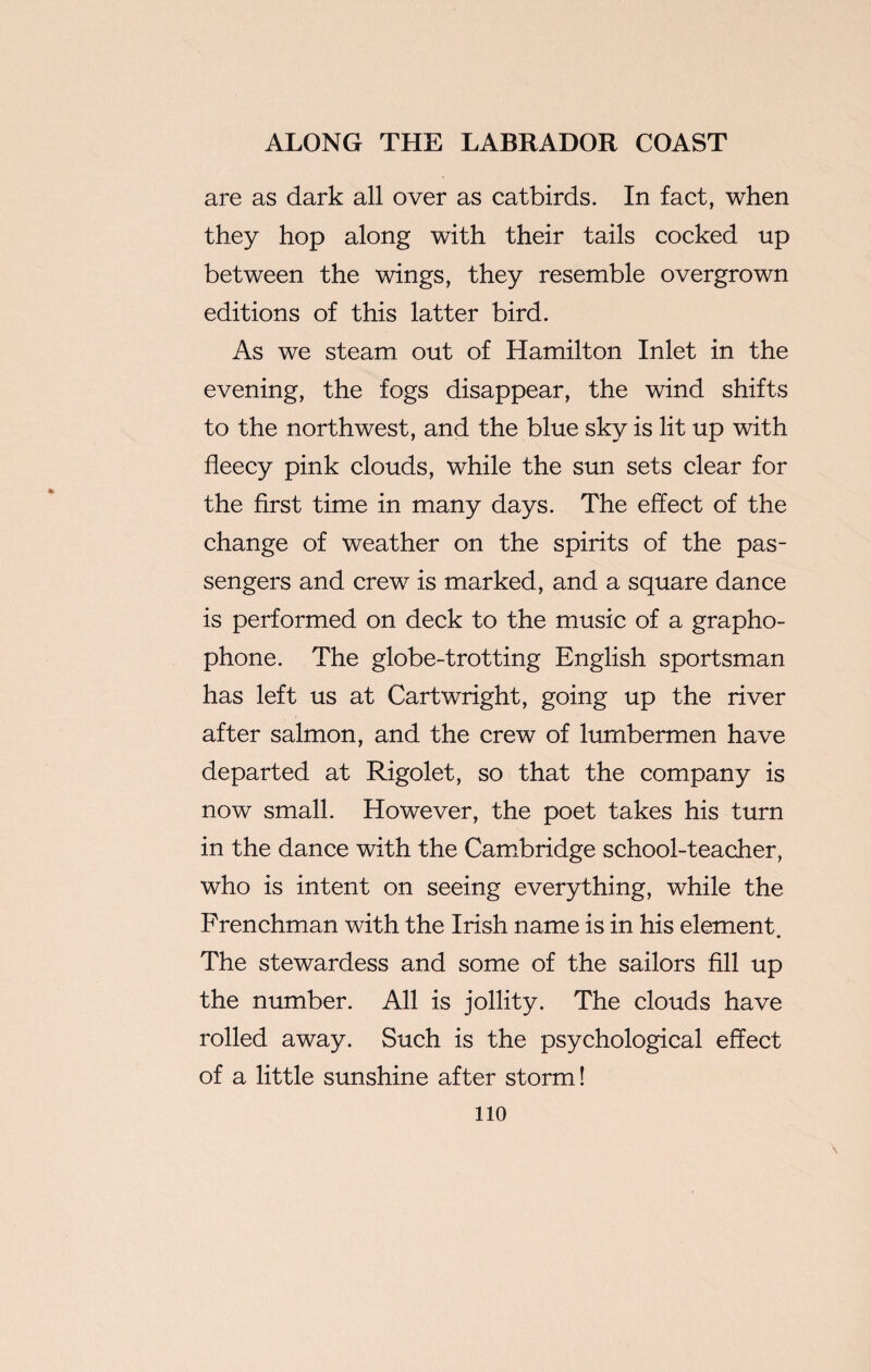 are as dark all over as catbirds. In fact, when they hop along with their tails cocked up between the wings, they resemble overgrown editions of this latter bird. As we steam out of Hamilton Inlet in the evening, the fogs disappear, the wind shifts to the northwest, and the blue sky is lit up with fleecy pink clouds, while the sun sets clear for the first time in many days. The effect of the change of weather on the spirits of the pas¬ sengers and crew is marked, and a square dance is performed on deck to the music of a grapho- phone. The globe-trotting English sportsman has left us at Cartwright, going up the river after salmon, and the crew of lumbermen have departed at Rigolet, so that the company is now small. However, the poet takes his turn in the dance with the Cambridge school-teacher, who is intent on seeing everything, while the Frenchman with the Irish name is in his element. The stewardess and some of the sailors fill up the number. All is jollity. The clouds have rolled away. Such is the psychological effect of a little sunshine after storm! no
