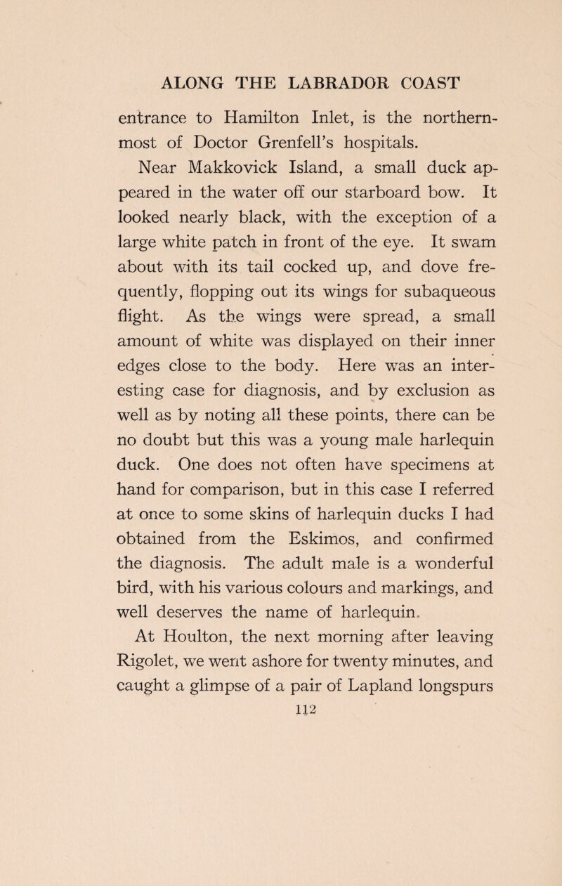 entrance to Hamilton Inlet, is the northern¬ most of Doctor Grenfell’s hospitals. Near Makkovick Island, a small duck ap¬ peared in the water off our starboard bow. It looked nearly black, with the exception of a large white patch in front of the eye. It swam about with its tail cocked up, and dove fre¬ quently, flopping out its wings for subaqueous flight. As the wings were spread, a small amount of white was displayed on their inner edges close to the body. Here was an inter¬ esting case for diagnosis, and by exclusion as well as by noting all these points, there can be no doubt but this was a young male harlequin duck. One does not often have specimens at hand for comparison, but in this case I referred at once to some skins of harlequin ducks I had obtained from the Eskimos, and confirmed the diagnosis. The adult male is a wonderful bird, with his various colours and markings, and well deserves the name of harlequin. At Houlton, the next morning after leaving Rigolet, we went ashore for twenty minutes, and caught a glimpse of a pair of Lapland longspurs