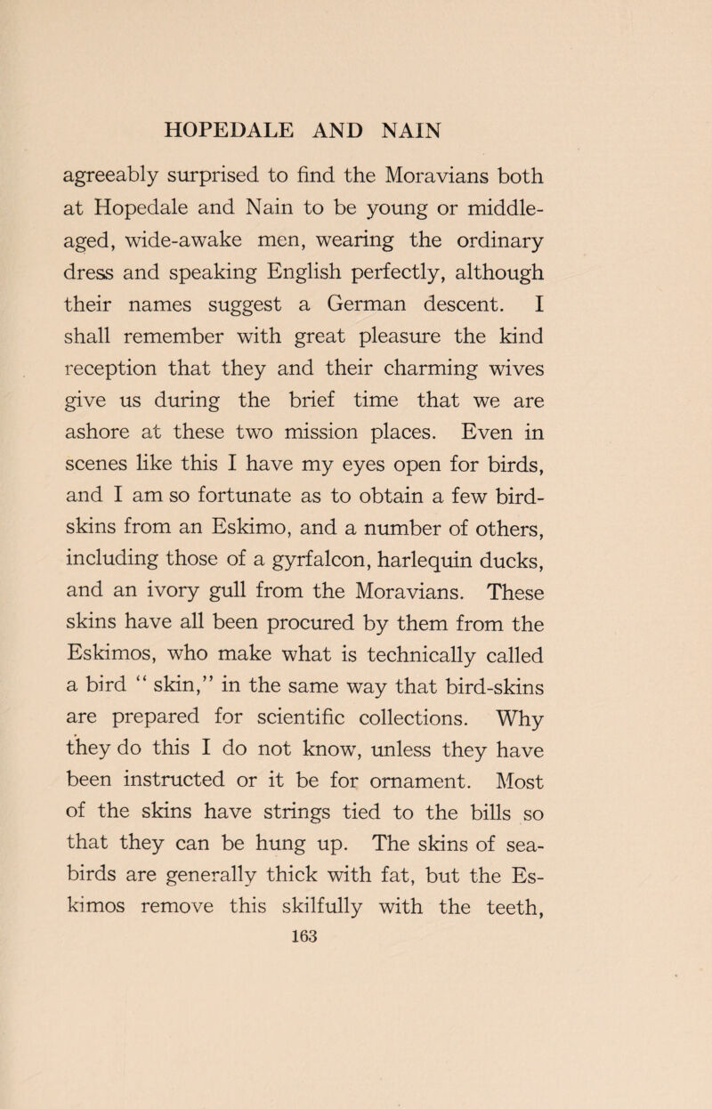 agreeably surprised to find the Moravians both at Hopedale and Nain to be young or middle- aged, wide-awake men, wearing the ordinary dress and speaking English perfectly, although their names suggest a German descent. I shall remember with great pleasure the kind reception that they and their charming wives give us during the brief time that we are ashore at these two mission places. Even in scenes like this I have my eyes open for birds, and I am so fortunate as to obtain a few bird- skins from an Eskimo, and a number of others, including those of a gyrfalcon, harlequin ducks, and an ivory gull from the Moravians. These skins have all been procured by them from the Eskimos, who make what is technically called a bird “ skin,” in the same way that bird-skins are prepared for scientific collections. Why they do this I do not know, unless they have been instructed or it be for ornament. Most of the skins have strings tied to the bills so that they can be hung up. The skins of sea¬ birds are generally thick with fat, but the Es¬ kimos remove this skilfully with the teeth,