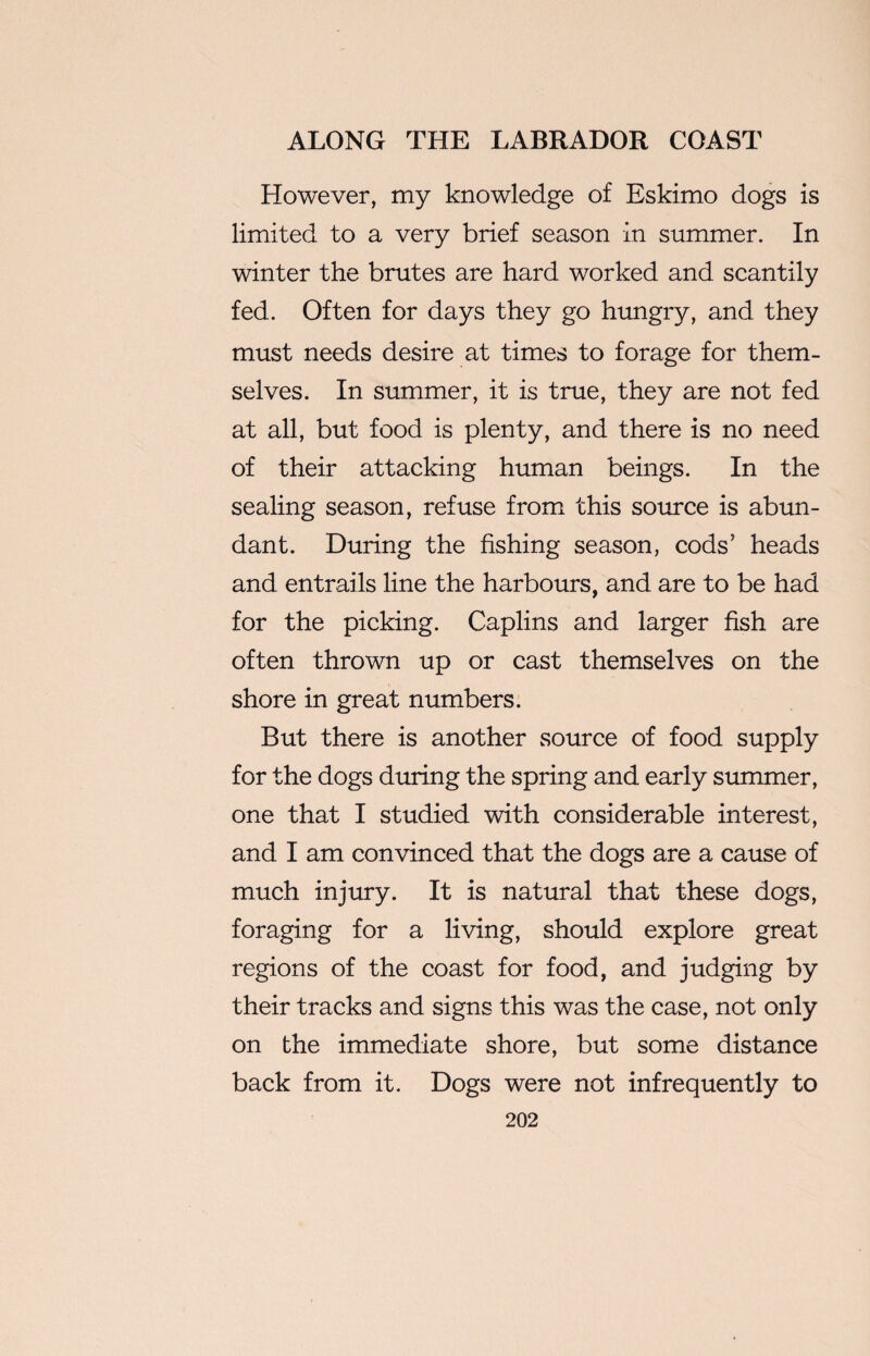 However, my knowledge of Eskimo dogs is limited to a very brief season in summer. In winter the brutes are hard worked and scantily fed. Often for days they go hungry, and they must needs desire at times to forage for them¬ selves. In summer, it is true, they are not fed at all, but food is plenty, and there is no need of their attacking human beings. In the sealing season, refuse from this source is abun¬ dant. During the fishing season, cods' heads and entrails line the harbours, and are to be had for the picking. Caplins and larger fish are often thrown up or cast themselves on the shore in great numbers. But there is another source of food supply for the dogs during the spring and early summer, one that I studied with considerable interest, and I am convinced that the dogs are a cause of much injury. It is natural that these dogs, foraging for a living, should explore great regions of the coast for food, and judging by their tracks and signs this was the case, not only on the immediate shore, but some distance back from it. Dogs were not infrequently to