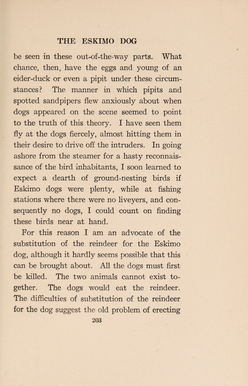 be seen in these out-of-the-way parts. What chance, then, have the eggs and young of an eider-duck or even a pipit under these circum¬ stances ? The manner in which pipits and spotted sandpipers fiew~ anxiously about when dogs appeared on the scene seemed to point to the truth of this theory. I have seen them fly at the dogs fiercely, almost hitting them in their desire to drive off the intruders. In going ashore from the steamer for a hasty reconnais¬ sance of the bird inhabitants, I soon learned to expect a dearth of ground-nesting birds if Eskimo dogs were plenty, while at fishing stations where there were no liveyers, and con¬ sequently no dogs, I could count on finding these birds near at hand. For this reason I am an advocate of the substitution of the reindeer for the Eskimo dog, although it hardly seems possible that this can be brought about. All the dogs must first be killed. The two animals cannot exist to¬ gether. The dogs would eat the reindeer. The difficulties of substitution of the reindeer for the dog suggest the old problem of erecting