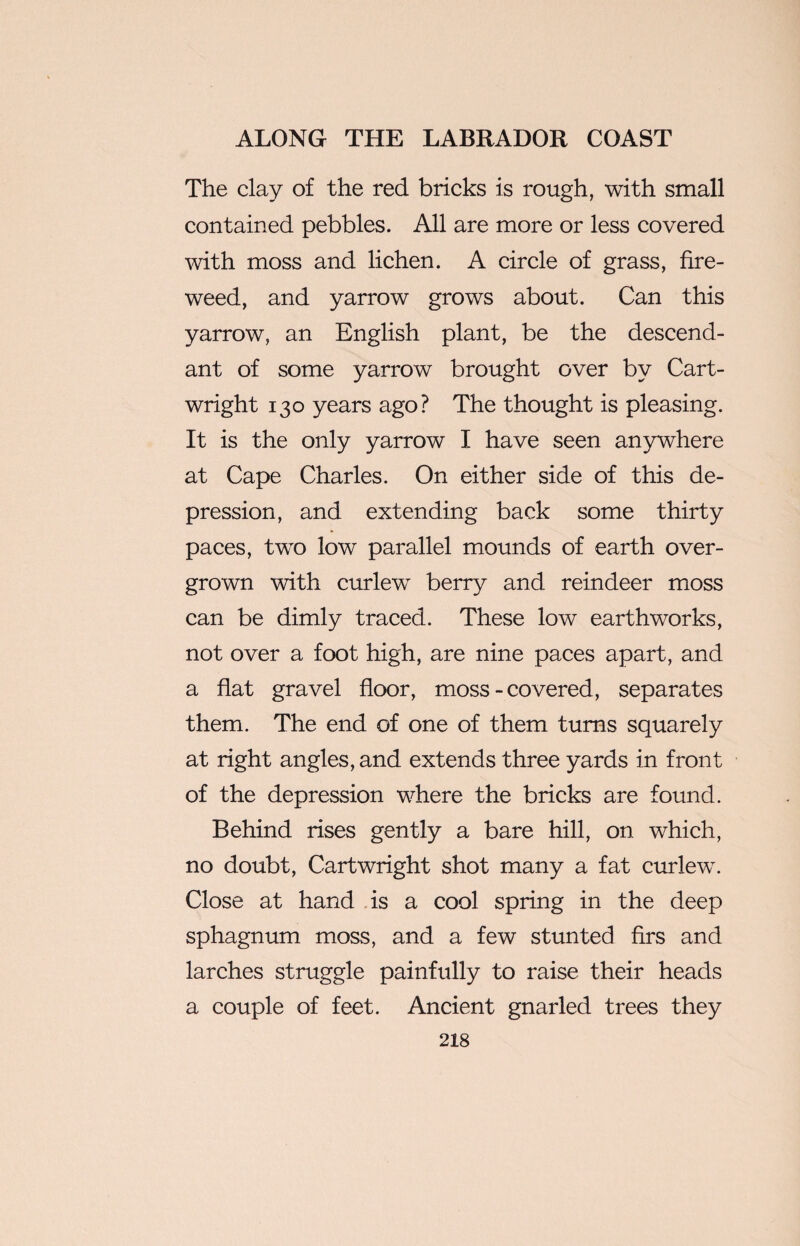 The clay of the red bricks is rough, with small contained pebbles. All are more or less covered with moss and lichen. A circle of grass, fire- weed, and yarrow grows about. Can this yarrow, an English plant, be the descend¬ ant of some yarrow brought over by Cart¬ wright 130 years ago? The thought is pleasing. It is the only yarrow I have seen anywhere at Cape Charles. On either side of this de¬ pression, and extending back some thirty paces, two low parallel mounds of earth over¬ grown with curlew berry and reindeer moss can be dimly traced. These low earthworks, not over a foot high, are nine paces apart, and a flat gravel floor, moss - covered, separates them. The end of one of them turns squarely at right angles, and extends three yards in front of the depression where the bricks are found. Behind rises gently a bare hill, on which, no doubt, Cartwright shot many a fat curlew. Close at hand is a cool spring in the deep sphagnum moss, and a few stunted firs and larches struggle painfully to raise their heads a couple of feet. Ancient gnarled trees they