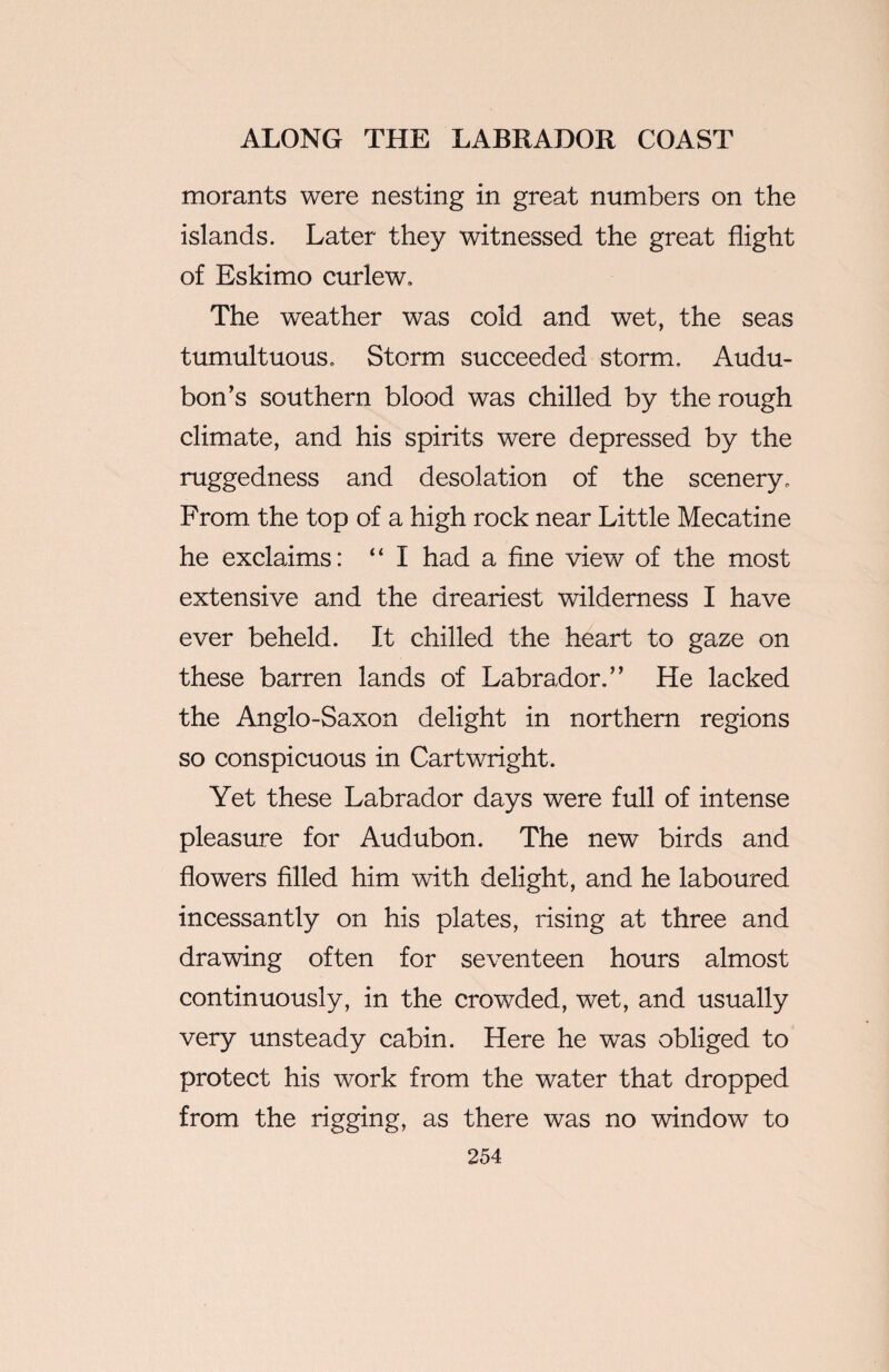 morants were nesting in great numbers on the islands. Later they witnessed the great flight of Eskimo curlew. The weather was cold and wet, the seas tumultuous. Storm succeeded storm. Audu¬ bon’s southern blood was chilled by the rough climate, and his spirits were depressed by the ruggedness and desolation of the scenery. From the top of a high rock near Little Mecatine he exclaims: “ I had a fine view of the most extensive and the dreariest wilderness I have ever beheld. It chilled the heart to gaze on these barren lands of Labrador.” He lacked the Anglo-Saxon delight in northern regions so conspicuous in Cartwright. Yet these Labrador days were full of intense pleasure for Audubon. The new birds and flowers filled him with delight, and he laboured incessantly on his plates, rising at three and drawing often for seventeen hours almost continuously, in the crowded, wet, and usually very unsteady cabin. Here he was obliged to protect his work from the water that dropped from the rigging, as there was no window to