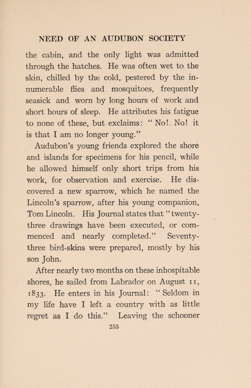 the cabin, and the only light was admitted through the hatches. He was often wet to the skin, chilled by the cold, pestered by the in¬ numerable flies and mosquitoes, frequently seasick and worn by long hours of work and short hours of sleep. He attributes his fatigue to none of these, but exclaims: “ No! No! it is that I am no longer young.” Audubon’s young friends explored the shore and islands for specimens for his pencil, while he allowed himself only short trips from his work, for observation and exercise. He dis¬ covered a new sparrow, which he named the Lincoln’s sparrow, after his young companion, Tom Lincoln. His Journal states that “twenty- three drawings have been executed, or com¬ menced and nearly completed.” Seventy- three bird-skins were prepared, mostly by his son John. After nearly two months on these inhospitable shores, he sailed from Labrador on August n, 1833. He enters in his Journal: “ Seldom in my life have I left a country with as little regret as I do this.” Leaving the schooner