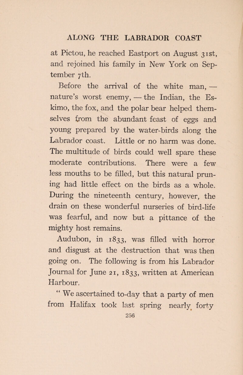 at Pictou, he reached Eastport on August 31st, and rejoined his family in New York on Sep¬ tember 7 th. Before the arrival of the white man, — nature’s worst enemy, — the Indian, the Es¬ kimo, the fox, and the polar bear helped them¬ selves from the abundant feast of eggs and young prepared by the water-birds along the Labrador coast. Little or no harm was done. The multitude of birds could well spare these moderate contributions. There were a few less mouths to be filled, but this natural prun¬ ing had little effect on the birds as a whole. During the nineteenth century, however, the drain on these wonderful nurseries of bird-life was fearful, and now but a pittance of the mighty host remains. Audubon, in 1833, was filled with horror and disgust at the destruction that was then going on. The following is from his Labrador Journal for June 21, 1833, written at American Harbour. “We ascertained to-day that a party of men from Halifax took last spring nearly forty