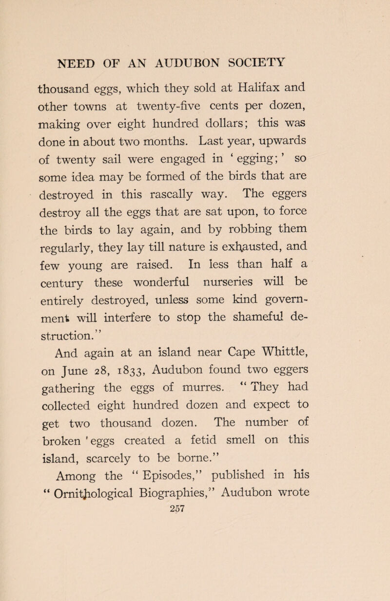thousand eggs, which they sold at Halifax and other towns at twenty-five cents per dozen, making over eight hundred dollars; this was done in about two months. Last year, upwards of twenty sail were engaged in ‘ egging; ’ so some idea may be formed of the birds that are destroyed in this rascally way. The eggers destroy all the eggs that are sat upon, to force the birds to lay again, and by robbing them regularly, they lay till nature is exhausted, and few young are raised. In less than half a century these wonderful nurseries will be entirely destroyed, unless some kind govern¬ ment will interfere to stop the shameful de¬ struction. And again at an island near Cape Whittle, on June 28, 1833, Audubon found two eggers gathering the eggs of murres. “ They had collected eight hundred dozen and expect to get two thousand dozen. The number of broken ' eggs created a fetid smell on this island, scarcely to be borne.” Among the “ Episodes,” published in his “ Ornithological Biographies,” Audubon wrote