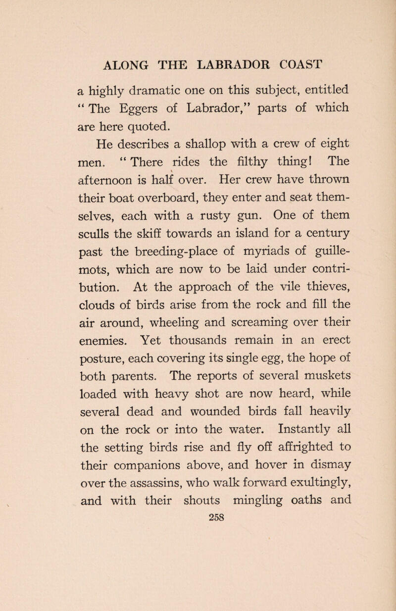 a highly dramatic one on this subject, entitled “ The Eggers of Labrador,” parts of which are here quoted. He describes a shallop with a crew of eight men, “ There rides the filthy thing! The afternoon is half over. Her crew have thrown their boat overboard, they enter and seat them¬ selves, each with a rusty gun. One of them sculls the skiff towards an island for a century past the breeding-place of myriads of guille¬ mots, which are now to be laid under contri¬ bution. At the approach of the vile thieves, clouds of birds arise from the rock and fill the air around, wheeling and screaming over their enemies. Yet thousands remain in an erect posture, each covering its single egg, the hope of both parents. The reports of several muskets loaded with heavy shot are now heard, while several dead and wounded birds fall heavily on the rock or into the water. Instantly all the setting birds rise and fly off affrighted to their companions above, and hover in dismay over the assassins, who walk forward exultingly, and with their shouts mingling oaths and