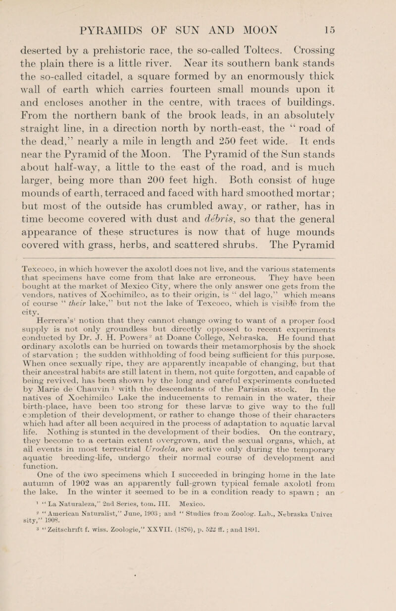 deserted by a prehistoric race, the so-called Toltecs. Crossing the plain there is a little river. Near its southern bank stands the so-called citadel, a square formed by an enormously thick wall of earth which carries fourteen small mounds upon it and encloses another in the centre, with traces of buildings. From the northern bank of the brook leads, in an absolutely straight line, in a direction north by north-east, the “ road of the dead,” nearly a mile in length and 250 feet wide. It ends near the Pyramid of the Moon. The Pyramid of the Sun stands about half-way, a little to the east of the road, and is much larger, being more than 200 feet high. Roth consist of huge mounds of earth, terraced and faced with hard smoothed mortar; but most of the outside has crumbled away, or rather, has in time become covered with dust and debris, so that the general appearance of these structures is now that of huge mounds covered with grass, herbs, and scattered shrubs. The Pyramid Texcoco, in which however the axolotl does not live, and the various statements that specimens have come from that lake are erroneous. They have been bought at the market of Mexico City, where the only answer one gets from the vendors, natives of Xochimilco, as to their origin, is “ del lago,” which means of course “ their lake,” but not the lake of Texcoco, which is visible from the city. Herrera’s1 notion that they cannot change owing to want of a proper food supply is not only groundless but directly opposed to recent experiments conducted by Dr. J. H. Powers2 at Doane College, Nebraska. He found that ordinary axolotls can be hurried on towards their metamorphosis by the shock of starvation ; the sudden withholding of food being sufficient for this purpose. When once sexually ripe, they are apparently incapable of changing, but that their ancestral habits are still latent in them, not quite forgotten, and capable of being revived, has been shown by the long and careful experiments conducted by Marie de Chauvin3 wdth the descendants of the Parisian stock. In the natives of Xochimilco Lake the inducements to remain in the water, their birth-place, have been too strong for these larvae to give way to the full completion of their development, or rather to change those of their characters which had after all been acquired in the process of adaptation to aquatic larval life. Nothing is stunted in the development of their bodies. On the contrary, they become to a certain extent overgrown, and the sexual organs, which, at all events in most terrestrial Urodela, are active only during the temporary aquatic breeding-life, undergo their normal course of development and function. One of the two specimens which I succeeded in bringing home in the late autumn of 1902 was an apparently full-grown typical female axolotl from the lake. In the winter it seemed to be in a condition ready to spawn ; an 1 “ La Naturaleza,” 2nd Series, torn. III. Mexico. 2 “American Naturalist,” June, 1903; and “ Studies from Zoolog-. Lab., Nebraska Univei sity,” 1908. a “Zeitsckrift f. wiss. Zoologie,” XXVII. (1876), p. 5211 if. ; and 1891.