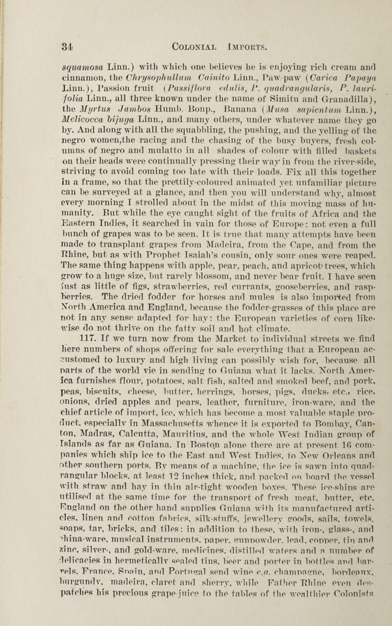 squamosa Linn.) with which one believes he is enjoying rich cream and cinnamon, the Chrysophullum Cainito Linn., Paw-paw (Garica Papaya Linn.), Passion fruit (Passi flora- edulis, P. quadrangular is, P. lauri- folia Linn., all three known under the name of Sirnitu and Granadilla), the Myrtus Jambos Humb. Bonp., Banana (Musa sapientum Linn.), Melicocca hi jug a Linn., and many others, under whatever name they go by. And along with all the squabbling, the pushing, and the yelling of the negro women,the racing and the chasing of the busy buyers, fresh col¬ umns of negro and mulatto in all shades of colour with tilled baskets on their heads were continually pressing their way in from the river-side, striving to avoid coming too late with their loads. Fix all this together in a frame, so that the prettily-coloured animated yet unfamiliar picture can be surveyed at a glance, and then you will understand why, almost every morning I strolled about in the midst of this moving mass of hu¬ manity. But while the eye caught sight of the fruits of Africa and the Eastern Indies, it searched in vain for those of Europe: not even a full bunch of grapes was to be seen. It is true that many attempts have been made to transplant grapes from Madeira, from the Cape, and from the Rhine, but as with Prophet Isaiah’s cousin, only sour ones were reaped. The same thing happens with apple, pear, peach, and apricot; trees, which grow to a huge size, but rarely blossom, and never bear fruit, I have seen just as little of figs, strawberries, red currants, gooseberries, and rasp¬ berries. The dried fodder for horses and mules is also imported from North America and England, because the fodder-grasses of this place are not in any sense adapted for hay: the European varieties of corn like¬ wise do not thrive on the fatty soil and hot climate. 117. If we turn now from the Market to individual streets we find here numbers of shops offering for sale everything that a European ac¬ customed to luxury and high living can possibly wish for, because all parts of the world vie in sending to Guiana what it lacks. North Amer¬ ica furnishes flour, potatoes, salt fish, salted and smoked beef, and pork, peas, biscuits, cheese, butter, herrings, horses, pigs, ducks* etc., rice, onions, dried apples and pears, leather, furniture, iron-ware, and the chief article of import, ice, which has become a most valuable staple pro¬ duct, especially in Massachusetts whence it is exported to Bombay, Can¬ ton, Madras, Calcutta, Mauritius, and the whole West Indian group of Islands as far as Guiana. In Boston alone there are at present 16 com¬ panies which ship ice to the East and West Indies, to New Orleans and other southern ports. By means of a machine, the ice is sawn into quad¬ rangular blocks, at least 12 inches thick, and packed on board the vessel with straw and hay in thin air-tight wooden boxes. These ice-ships are utilised at the same time for the transport of fresh meat, butter, etc. England on the other hand supplies Guiana with its manufactured arti¬ cles, linen and cotton fabrics, silk-stuffs, jewellery goods, sails, towels, ^oaps, tar, bricks, and tiles: in addition to these, with iron-, glass-, and ‘hina-ware, musical instruments, paper, gun powder, lead, copper, tin and zinc, silver-, and gold-ware, medicines, distilled waters and a number of delicacies in hermetically scaled tins, beer and porter in bottles and bar¬ rels, France, Snain, ami Portugal send wine r.g. champagne, hordeaux, burgundy, madeira, claret and sherry, while Father Rhine even des¬ patches his precious grape juice to the tables of the wealthier Colonists