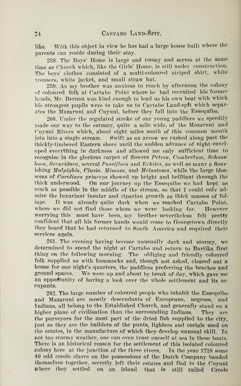 71 Cabtabo Land-Spit. like. With this object in view he has had a large house built where the parents can reside during their stay. 258. The Boys’ Home is large and roomy and serves at the same time as Church which, like the Girls’ Home, is still under construction. The boys’ clothes consisted of a multi-coloured striped shirt, white trousers, white jacket, and small straw hat. 259. As my brother was anxious to reach by afternoon the colony of coloured foik at Cartabo Point where he had recruited his former hands, Mr. Bernau was kind enough to lend us his own boat with which his strongest pupils were to take us to Cartabo Land-spit which separ¬ ates the Mazaruni and Cuyuni, before they fall into the Essequibo. 2G0. Under the regulated stroke of our young paddlers we speedily made our way to the estuary, quite a mile wide, of the Mazaruni and Cuyuni Rivers which, about eight miles south of this common mouth join into a single stream. Swift as an arrow we rushed along past the thickly-timbered Eastern shore until the sudden advance of night envel¬ oped everything in darkness and allowed me only sufficient time to recognise in the glorious carpet of flowers Petrea, Combretum, Schous- boea, Securidaca, several Passiflora and Echitcs, as well as many a flour¬ ishing Malpighia, Clusio, Mimosa, and Melastoma, while the large blos¬ soms of Carolinea prinrcps showed up bright and brilliant through the thick underwood. On our journey up the Essequibo we had kept as much as possible in the middle of the stream, so that I could only ad¬ mire the luxuriant insular and riparian growth as thick masses of fol¬ iage. It was already quite dark when we reached Cartabo Point, where we did not find those whom we were looking for. However worrying this must have been, my brother nevertheless felt pretty confident that all his former hands would come to Georgetown directly they heard that he had returned to South America and required their services again. 261. The evening having become unusually dark and stormy, we determined to spend the night at Cartabo and return to Bartika first thing on the following morning. The obliging and friendly coloured folk supplied us with hammocks and, though ndt. asked, cleared out a house for our night’s quarters, the paddlers preferring the benches and ground spaces. We were up and about by break of day, which gave me an opportunity of having a look over the whole settlement and its oc¬ cupants. 262. The large number of coloured people who inhabit the Essequibo and Mazaruni are mostly descendants of Europeans, negroes, and Indians, all belong to the Established Church, and generally stand on a higher plane of civilisation than the surrounding Indians. They are the purveyors for the most part of the dried fish supplied to the city, just as they are the builders of the punts, lighters and corials used on the estates, in the manufacture of which they develop unusual skill. In not too stormy weather, one can even trust oneself at sea in these boats. There is an historical reason for the settlement of this isolated coloured colony here at the junction of the three rivers. In the year 1738 some 40 odd creole slaves on the possessions of the Dutch Company banded themselves together, secretly left their estates and fled to the Cuyuni where they settled on an island that is still called Creole