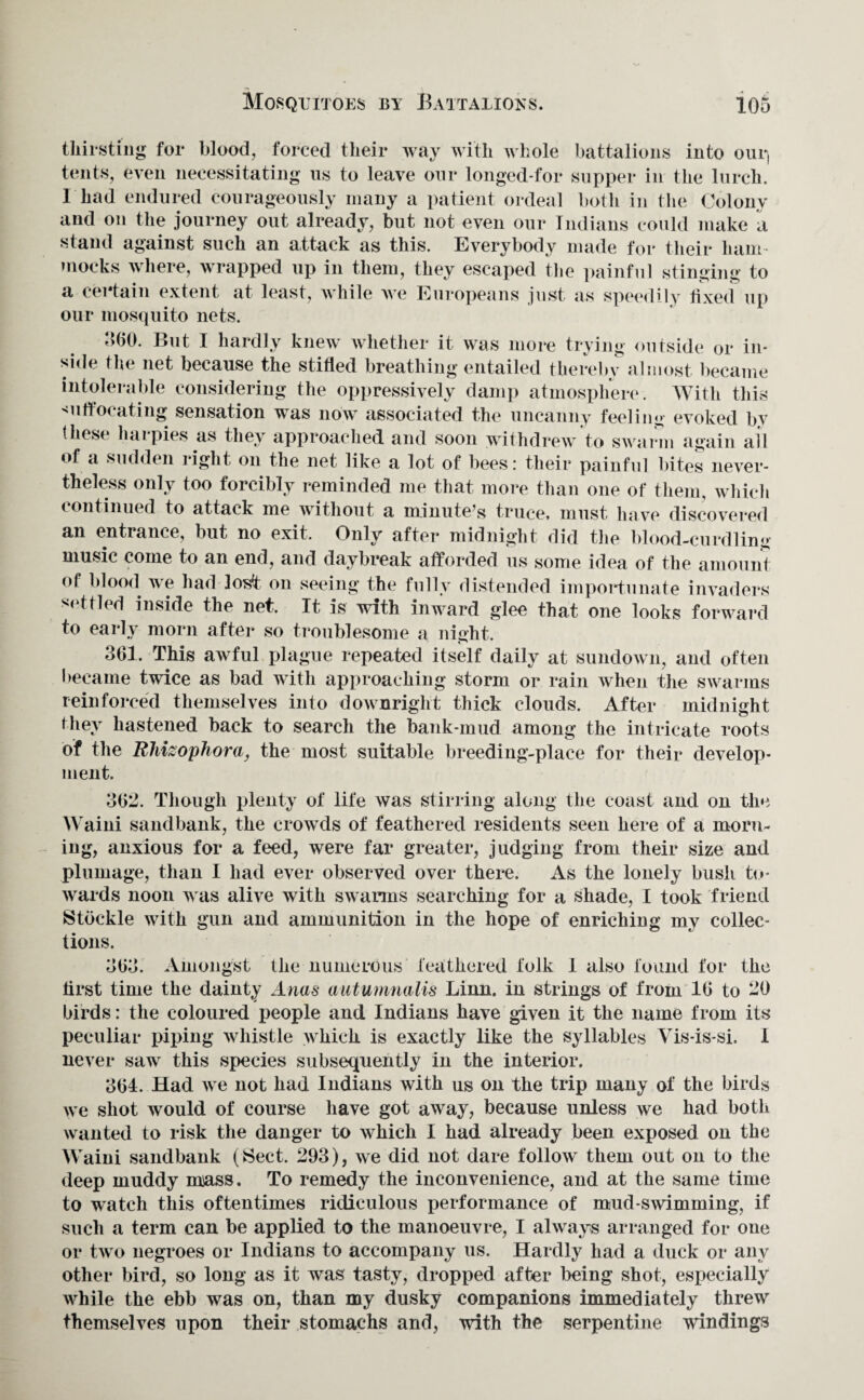 Mosquitoes by Battalions. thirsting for blood, forced their way with whole battalions into our, tents, even necessitating us to leave our longed-for supper in the lurch. I had endured courageously many a patient ordeal both in the Colony and on the journey out already, but not even our Indians could make a stand against such an attack as this. Everybody made for their ham mocks where, wrapped up in them, they escaped the painful stinging to a certain extent at least, while we Europeans just as speedily fixed up our mosquito nets. 360. But I hardly knew whether it was more trying outside or in¬ side the net because the stifled breathing entailed thereby almost became intolerable considering the oppressively damp atmosphere. With this suffocating sensation was now associated the uncanny feeling evoked by (best* harpies as they approached and soon withdrew to swarm again ail of a sudden right on the net like a lot of bees: their painful bites never¬ theless only too forcibly reminded me that more than one of them, which continued to attack me without a minute’s truce, must have discovered an entrance, but no exit. Only after midnight did the blood-curdling music come to an end, and daybreak afforded us some idea of the amount of blood, we had lost on seeing the fully distended importunate invaders settled inside the net. It is with inward glee that one looks forward to early morn after so troublesome a night. 361. This awful plague repeated itself daily at sundown, and often became twice as bad with approaching storm or rain when the swarms reinforced themselves into downright thick clouds. After midnight they hastened back to search the bank-mud among the intricate roots of the Rliizophora, the most suitable breeding-place for their develop¬ ment. 362. Though plenty of life was stirring along the coast and on the Waini sandbank, the crowds of feathered residents seen here of a morn¬ ing, anxious for a feed, were far greater, judging from their size and plumage, than I had ever observed over there. As the lonely bush to¬ wards noon was alive with swarms searching for a shade, I took friend Stockle with gun and ammunition in the hope of enriching my collec¬ tions. 163. Amongst the numerous feathered folk I also found for the first time the dainty Anas aiitumnalis Linn, in strings of from 16 to 20 birds: the coloured people and Indians have given it the name from its peculiar piping whistle which is exactly like the syllables Vis-is-si. 1 never saw this species subsequently in the interior. 361. Had we not had Indians with us on the trip many of the birds we shot would of course have got away, because unless we had both wanted to risk the danger to which I had already been exposed on the Waini sandbank (Sect. 293), we did not dare follow them out on to the deep muddy mass. To remedy the inconvenience, and at the same time to watch this oftentimes ridiculous performance of mud-swimming, if such a term can be applied to the manoeuvre, I always arranged for one or two negroes or Indians to accompany us. Hardly had a duck or any other bird, so long as it was tasty, dropped after being shot, especially while the ebb was on, than my dusky companions immediately threw themselves upon their stomachs and, with the serpentine windings