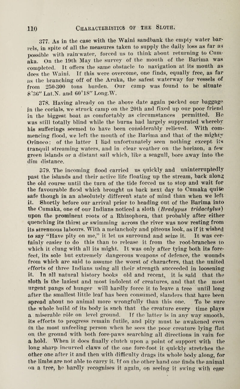 Characteristics or the Sloth, 377. As in the ease with the Waini sandbank the empty water bar¬ rels, in spite of all the measures taken to supply the daily loss as far as possible with rain water, forced us to think about returning to Gum- aka. On the 19th May the survey of the mouth of the Barima was completed. It offers the same obstacle to navigation at its mouth as does the Waini. If this were overcome, one finds, equally free, as far as the branching off of the Aruka, the safest waterway for vessels of from 250-300 tons burden. Our camp was found to be situate 8°3G Lat.N. and 60°18 Long.W. 378. Having already on the above date again packed our baggage jn the corials, we struck camp on the 20th and fixed up our poor friend in the biggest boat as comfortably as circumstances permitted. He was still totally blind while the burns had largely suppurated whereby his sufferings seemed to have been considerably relieved. With com¬ mencing flood, we left the mouth of the Barima and that of the mighty Orinoco: of the latter I liad unfortunately seen nothing except its tranquil streaming waters, and in clear weather on the horizon, a few green islands or a distant sail which, like a seagull, bore away into the dim distance. 379. The incoming flood carried us quickly and uninterruptedly past the islands and their active life floating up the stream, back along the old course until the turn of the tide forced us to stop and wait for the favourable flood which brought us back next day to Cumaka quitie safe though in an absolutely different state of mind than when we left it. Shortly before our arrival prior to heading out of the Barima into the Cumaka, one of our Indians noticed a sloth (Bradypus tridactyliis) upon the prominent roots of a Rhizophora, that probably after either quenching its thirst or swimming across the river was now resting from its strenuous labours. With a melancholy and piteous look, as if it wished to say “Have pity on me,” it let us surround and seize it. It was cer¬ tainly easier to do this than to release it from the root-branches to which it clung with all its might. It was only after tying both its fore¬ feet, its sole but extremely dangerous weapons of defence, the wounds from which are said to assume the worst of characters, that the united efforts of three Indians using all their strength succeeded in loosening it. In all natural history books old and recent, it is said that the sloth is the laziest and most indolent of creatures, and that the most urgent pangs of hunger will hardly force it to leave a tree until long after the smallest little leaf has been consumed, slanders that have been spread about no animal more wrongfully than this one. To be sure the whole build of its body is such that the creature every time plays a miserable role on level ground. If the latter is in any way smooth, its efforts to progress remain futile, and pity must be awakened even in the most unfeeling person when he sees the poor creature lying flat on the ground with both fore-paws searching all directions in vain for a hold. When it does finally clutch upon a point of support with the long sharp incurved claws of the one fore-foot it quickly stretches the other one after it and then with difficulty drags its whole body along, for the limbs are not able to carry it. If on the other hand one finds the animal on a tree, he hardly recognises it again, on seeing it swing with ease
