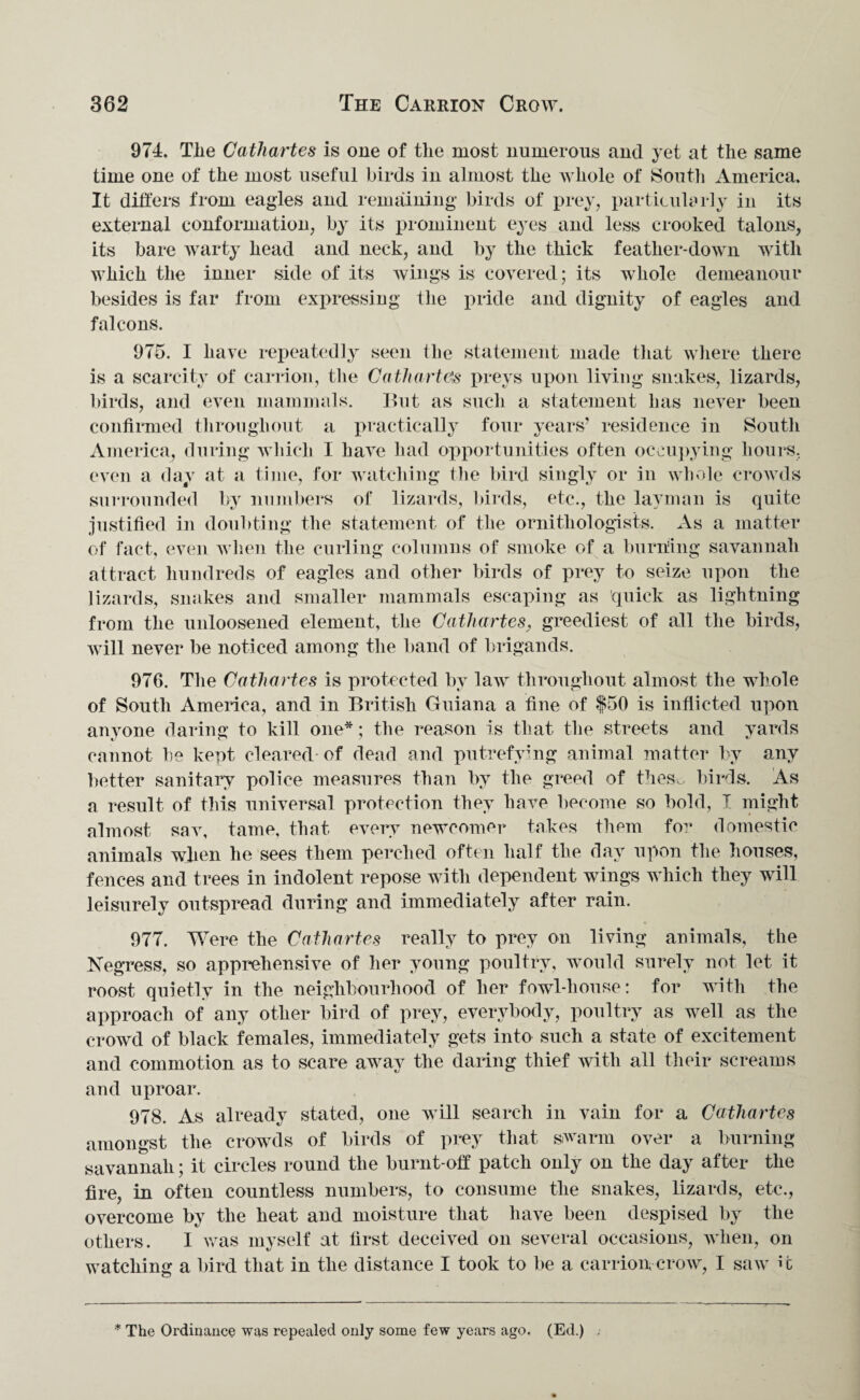 974. Tlie Cathartes is one of the most numerous and yet at the same time one of the most useful birds in almost the whole of South America. It differs from eagles and remaining birds of prey, particularly in its external conformation, by its prominent eyes and less crooked talons, its bare warty head and neck, and by the thick feather-down with which the inner side of its wings is covered; its whole demeanour besides is far from expressing the pride and dignity of eagles and falcons. 975. I have repeatedly seen the statement made that where there is a scarcity of carrion, the Cathartes preys upon living snakes, lizards, birds, and even mammals. But as such a statement has never been confirmed throughout a practically four years’ residence in South America, during which I have had opportunities often occupying hours, even a day at a time, for watching the bird singly or in whole crowds surrounded by numbers of lizards, birds, etc., the layman is quite justified in doubting the statement of the ornithologists. As a matter of fact, even when the curling columns of smoke of a burning savannah attract hundreds of eagles and other birds of prey to seize upon the lizards, snakes and smaller mammals escaping as quick as lightning from the unloosened element, the Cathartes, greediest of all the birds, will never be noticed among the band of brigands. 976. The Cathartes is protected by law throughout almost the whole of South America, and in British Guiana a fine of $50 is inflicted upon anyone daring to kill one*; the reason is that the streets and yards cannot he kept cleared* of dead and putrefying animal matter by any better sanitary police measures than by the greed of theso birds. As a result of this universal protection they have become so bold, I might almost sav, tame, that every newcomer takes them for domestic animals when he sees them perched often half the day upon the houses, fences and trees in indolent repose with dependent wings which they will leisurely outspread during and immediately after rain. 977. Were the Cathartes really to prey on living animals, the Negress, so apprehensive of her young poultry, would surely not let it roost quietly in the neighbourhood of her fowl-house: for with the approach of any other bird of prey, everybody, poultry as well as the crowd of black females, immediately gets into such a state of excitement and commotion as to scare away the daring thief with all their screams and uproar. 978. As already stated, one will search in vain for a Cathartes amongst the crowds of birds of prey that swarm over a burning savannah; it circles round the burnt-off patch only on the day after the fire, in often countless numbers, to consume the snakes, lizards, etc., overcome by the heat and moisture that have been despised by the others. I was myself at first deceived on several occasions, when, on watching a bird that in the distance I took to be a carrion crow, I saw U * The Ordinance was repealed only some few years ago. (Ed.) ;
