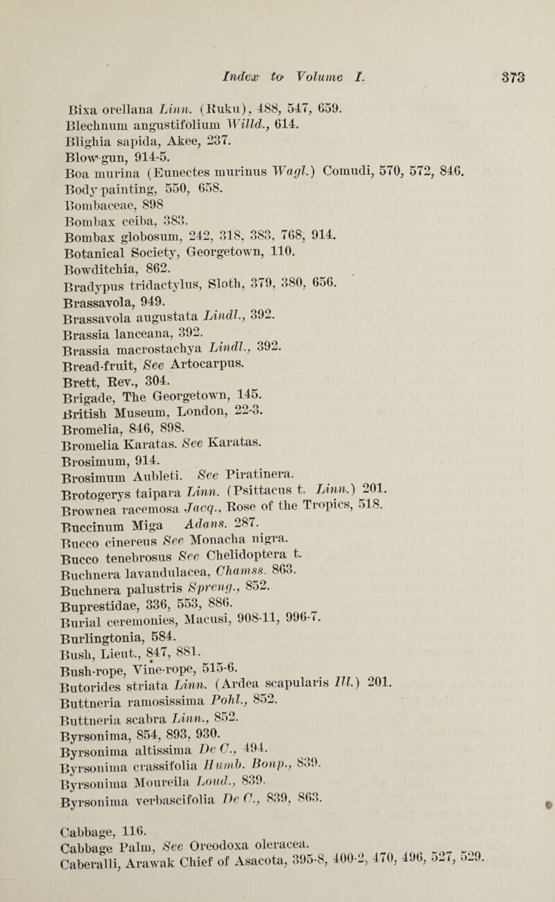 Bixa orellana Linn. (Ruku), 488, 547, 659. Blecknum angustifolium Willd., 614. Blighia sapida, Akee, 237. Blow-gun, 914-5. Boa murina (Eunectes murinus 1Vagi.) Comudi, 5<0, 572, 846. Body painting, 550, 658. Bombaceae, 898 Bombax ceiba, 383. Bombax globosum, 242, 318, 383, 768, 914. Botanical Society, Georgetown, 110. Bowditchia, 862. Bradypus tridactylus, Slotli, 379, 380, 656. Brassavola, 949. Brassavola augustata Lindl., 39l. Brassia lanceana, 392. Brassia macrostaehya Lindl., 392. Bread-fruit, See Artocarpus. Brett, Rev., 304. Brigade, The Georgetown, 145. British Museum, London, 22-3. Bromelia, 846, 898. Bromelia Karatas. See Karatas. Brosimum, 914. Brosimum Aubleti. See Piratinera. Brotogerys taipara Linn. (Psittacus t. Linn.) 201. Brownea racemosa Jaeq., Rose of the Tropics, 518. Buccinum Miga Adans. 287. Bucco cinereus See Monacha nigra. Bucco tenebrosus See Chelidoptera t. Buclinera lavandulacea, Chamss. 863. Buchnera palustris Spneng., 852. Buprestidae, 336, 553, 886. Burial ceremonies, Macusi, 908-11, 996-7. Burlingtonia, 584. Bush, Lieut., 847, 881. Bush-rope, Vine-rope, 515-6. Butorides striata Linn. (Ardea scapularis III.) 201. Buttneria ramosissima Pohl., 852. Buttneria scabra Linn., 852. Byrsonima, 854, 893, 930. Byrsonima altissima DeC., 494. Byrsonima crassifolia Hurnb. Bonp., 839. Byrsonima Moureila Loud., 839. Byrsonima verbascifolia Be C., 839, 863. Cabbage, 116. Cabbage Palm, See Oreodoxa oleracea. Caberalli, Arawak Chief of Asacota, 395-8, 400-2 470, 496, 527, 529. t: