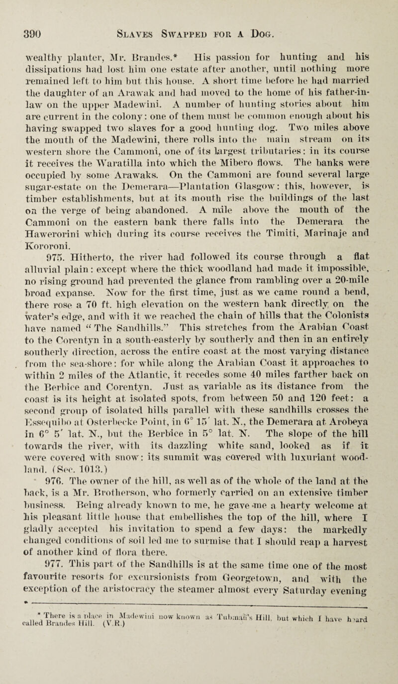 wealthy planter, Mr. Braudes.* His passion for hunting and his dissipations had lost him one estate after another, until nothing more remained left to him but this house. A short time before he had married the daughter of an Arawak and had moved to the home of his father-in- law on the upper Madewini. A number of hunting stories about him are current in the colony: one of them must be common enough about his having swapped two slaves for a good hunting dog. Two miles above the mouth of the Madewini, there rolls into the main stream on its western shore the Cammoni, one of its largest tributaries: in its course it receives the Waratilla into which the Mibero flows. The banks were occupied by some Arawaks. On the Cammoni are found several large sugar-estate on the Demerara—Plantation Glasgow: this, however, is timber establishments, but at its mouth rise the buildings of the last on the verge of being abandoned. A mile above the mouth of the Cammoni on the eastern bank there falls into the Demerara the Hawerorini which during its course receives the Timiti, Marinaje and Kororoni. 975. Hitherto, the river had followed its course through a flat alluvial plain: except where the thick woodland had made it impossible, no rising ground had prevented the glance from rambling over a 20-mile broad expanse. Now for the first time, just as we came round a bend, there rose a TO ft. high elevation on the western bank directly on the water’s edge, and with it we reached the chain of hills that the Colonists have named “ The Sandhills.” This stretches from the Arabian Coast to the Corentyn in a south-easterly by southerly and then in an entirely southerly direction, across the entire coast at the most varying distance from Ihe sea-shore: for while along the Arabian Coast it approaches to within 2 miles of the Atlantic, it recedes some 40 miles farther back on the Berbice and Corentyn. Just as* variable as its distance from the coast is its height at isolated spots, from between 50 and 120 feet: a second group of isolated hills parallel with these sandhills crosses the Essequibo at Osterbecke Point, in 6° 15' lat. N., the Demerara at Arobeya in 6° 5' lat. N., but the Berbice in 5° lat. N. The slope of the hill towards the river, with its dazzling white sand, looked as if it were covered with snow: its summit was covered with luxuriant wood¬ land. (Sec. 1013.) 970. The owner of the hill, as well as of the whole of the land at the back, is a Mr. Brotherson, who formerly carried on an extensive timber business. Being already known to me, he gave*me a hearty welcome at his pleasant little house that embellishes the top of the hill, where I gladly accepted his invitation to spend a few days: the markedly changed conditions of soil led me to surmise that I should reap a harvest of another kind of flora there. 977. This part of the Sandhills is at the same time one of the most favourite resorts for excursionists from Georgetown, and with the exception of the aristocracy the steamer almost every Saturday evening * There is n place in Madewini now known called Braudes Hill. (V.R.) as Tubman1s Hill, but which I have h?ard