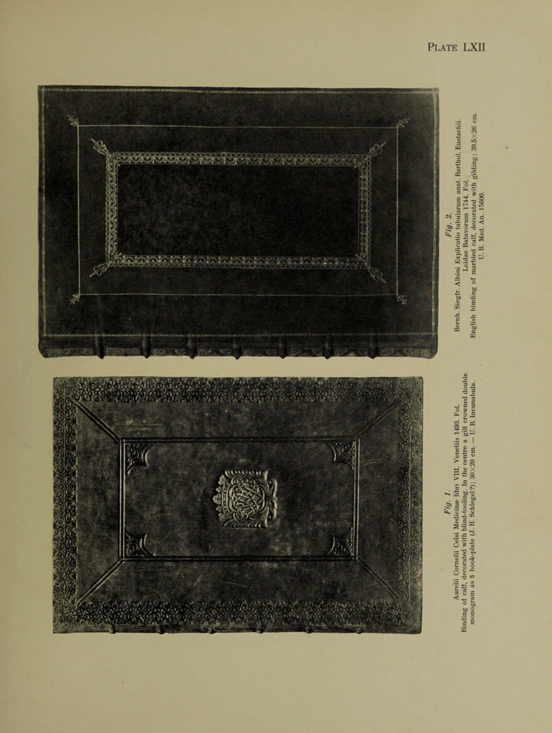 U. B. Med. An. 15600.