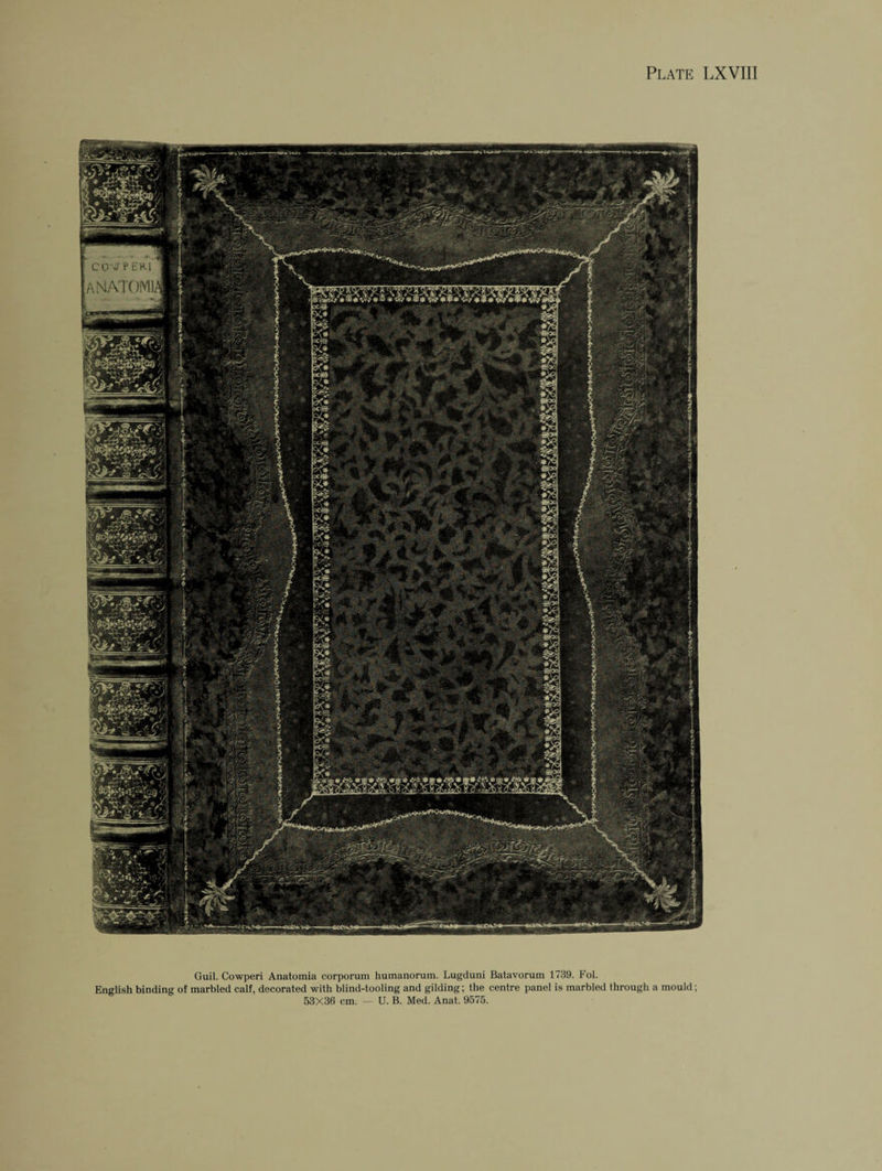 Guil. Cowperi Anatomia corporum humanorum. Lugduni Batavorum 1739. Fol. English binding of marbled calf, decorated with blind-tooling and gilding; the centre panel is marbled through a mould; 53X36 cm. — U. B. Med. Anat. 9575.