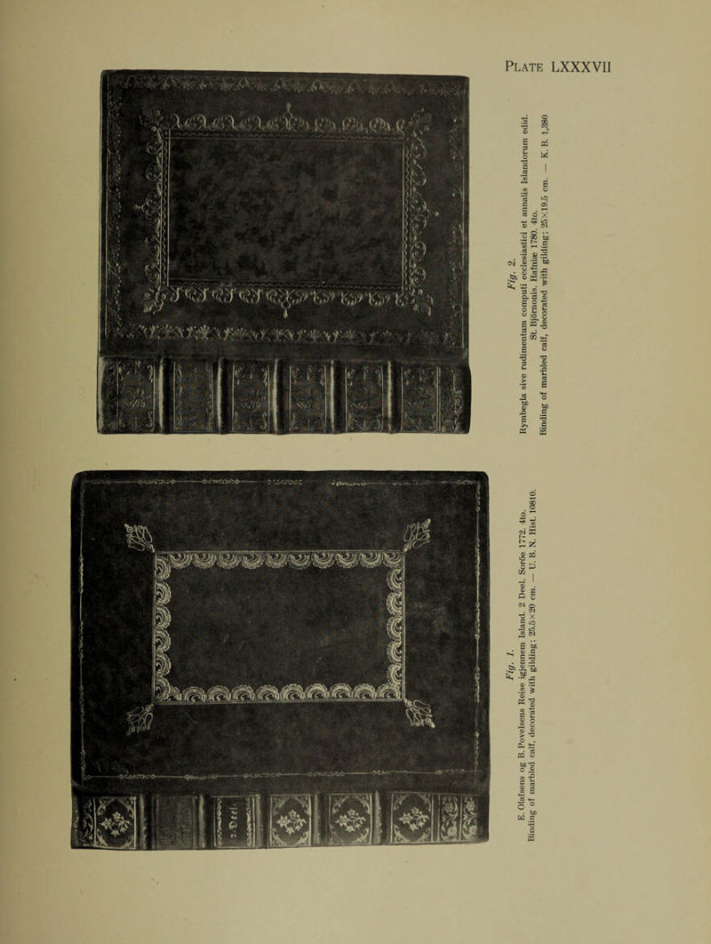 o cm !>• X a? cc JO ^ O X m . CM O . CM X lO -2 to £2 CM hfi o ^ § I 72 5 «*-( Id «*— O ° . b£ W C *3 a S