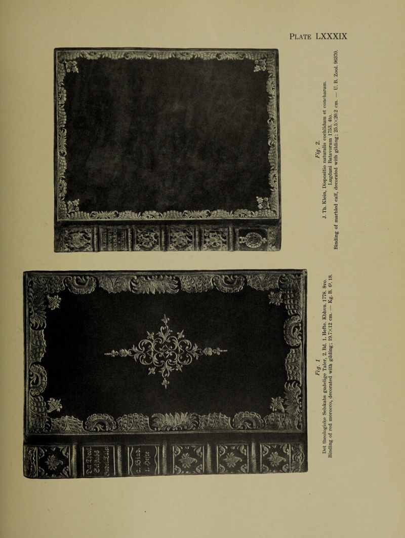 Det theologiske Selskabs gudelige Taler, 2. Bd. 1. Hefte. Kbhvn. 1778. 8vo. J. Th. Klein, Dispositio naturalis cochlidum et concharum. Binding of red morocco, decorated with gilding; 19.7X12 cm. — Kg. B. 61.18. Lugduni Batavorum 1753. 4to.