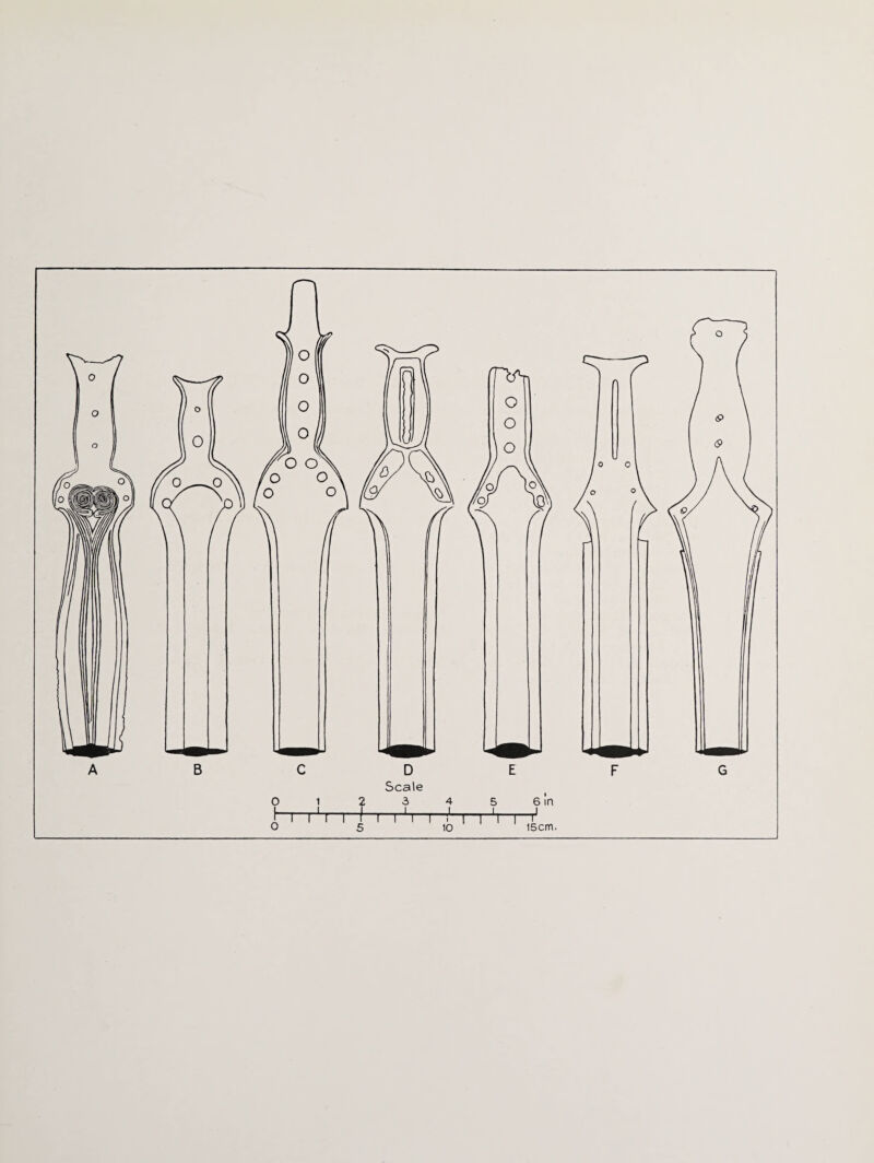 TT Scale 15cm.