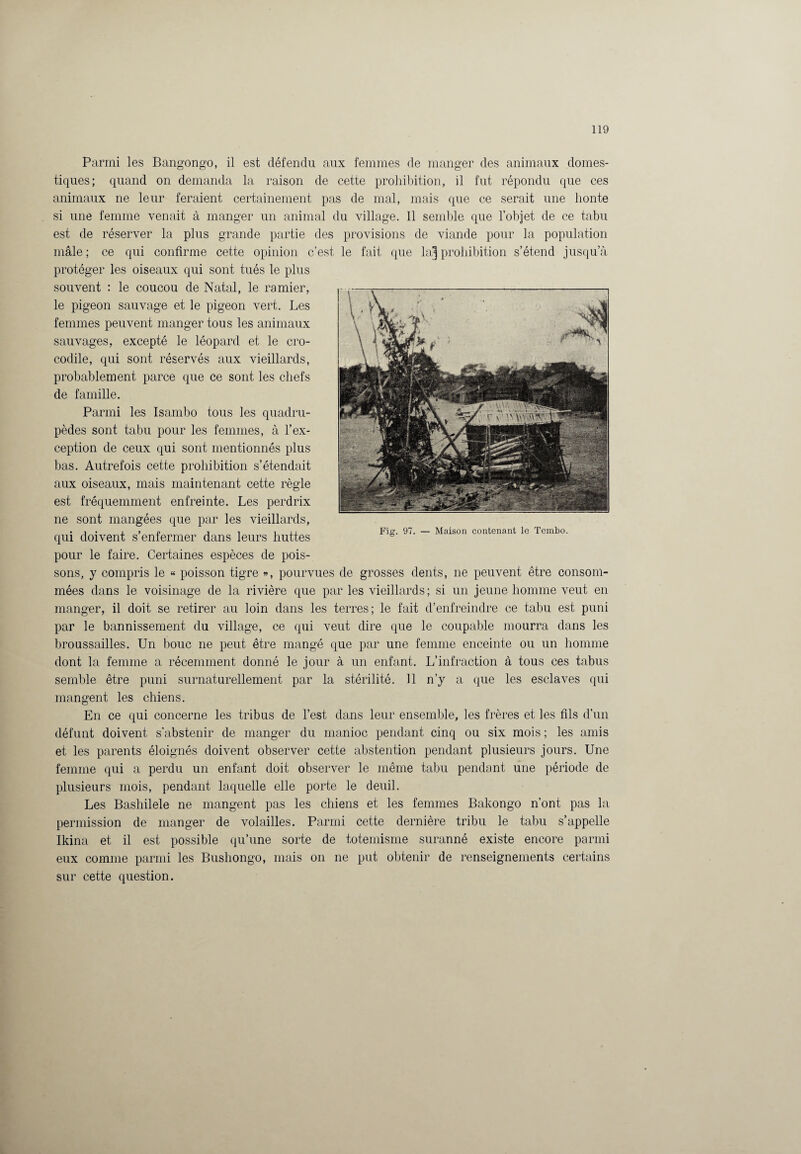 Parmi les Bangongo, il est défendu aux femmes de manger des animaux domes¬ tiques; quand on demanda la raison de cette prohibition, il fut répondu que ces animaux ne leur feraient certainement pas de mal, mais que ce serait une honte si une femme venait à manger un animal du village. Il semble que l’objet de ce tabu est de réserver la plus grande partie des provisions de viande pour la population mâle ; ce qui confirme cette opinion c’est le fait que la] prohibition s’étend jusqu’à protéger les oiseaux qui sont tués le plus souvent : le coucou de Natal, le ramier, le pigeon sauvage et le pigeon vert. Les femmes peuvent manger tous les animaux sauvages, excepté le léopard et le cro¬ codile, qui sont réservés aux vieillards, probablement parce que ce sont les chefs de famille. Parmi les Isambo tous les quadru¬ pèdes sont tabu pour les femmes, à l’ex¬ ception de ceux qui sont mentionnés plus bas. Autrefois cette prohibition s’étendait aux oiseaux, mais maintenant cette règle est fréquemment enfreinte. Les perdrix ne sont mangées que par les vieillards, qui doivent s’enfermer dans leurs huttes pour le faire. Certaines espèces de pois¬ sons, y compris le « poisson tigre », pourvues de grosses dents, ne peuvent être consom¬ mées dans le voisinage de la rivière que par les vieillards; si un jeune homme veut en manger, il doit se retirer au loin dans les terres; le fait d’enfreindre ce tabu est puni par le bannissement du village, ce qui veut dire que le coupable mourra dans les broussailles. Un bouc ne peut être mangé que par une femme enceinte ou un homme dont la femme a récemment donné le jour à un enfant. L’infraction à tous ces tabus semble être puni surnaturellement par la stérilité. Il n’y a que les esclaves qui mangent les chiens. En ce qui concerne les tribus de l’est dans leur ensemble, les frères et les fils d’un défunt doivent s'abstenir de manger du manioc pendant cinq ou six mois ; les amis et les parents éloignés doivent observer cette abstention pendant plusieurs jours. Une femme qui a perdu un enfant doit observer le même tabu pendant une période de plusieurs mois, pendant laquelle elle porte le deuil. Les Bashilele ne mangent pas les chiens et les femmes Bakongo n’ont pas la permission de manger de volailles. Parmi cette dernière tribu le tabu s’appelle Ikina et il est possible qu’une sorte de totémisme suranné existe encore parmi eux comme parmi les Bushongo, mais on ne put obtenir de renseignements certains sur cette question.