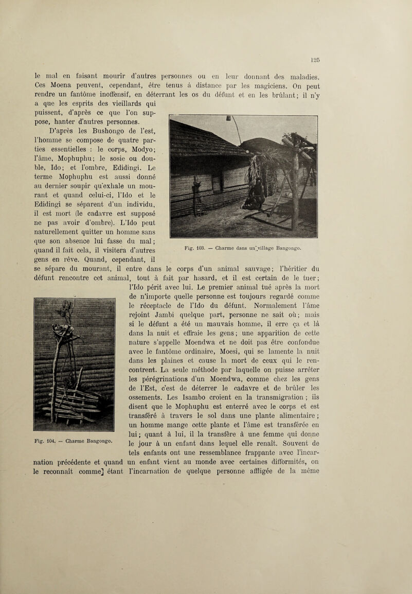 le mal en faisant mourir d’autres personnes ou en leur donnant des maladies. Ces Moena peuvent, cependant, être tenus à distance par les magiciens. On peut rendre un fantôme inoffensif, en déterrant les os du défunt et en les brûlant; il n’y a que les esprits des vieillards qui puissent, d’après ce que l’on sup¬ pose, hanter d’autres personnes. D’après les Bushongo de l’est, l’homme se compose de quatre par¬ ties essentielles : le corps, Modyo; l’âme, Mophuphu; le sosie ou dou¬ ble, Ido ; et l’ombre, Edidingi. Le terme Mophuphu est aussi donné au dernier soupir qu’exhale un mou¬ rant et quand celui-ci, l’Ido et le Edidingi se séparent d’un individu, il est mort (le cadavre est supposé ne pas avoir d’ombre). L’Ido peut naturellement quitter un homme sans que son absence lui fasse du mal ; quand il fait cela, il visitera d’autres gens en rêve. Quand, cependant, il se sépare du mourant, il entre dans le corps d’un animal sauvage; l’héritier du défunt rencontre cet animal, tout à fait par hasard, et il est certain de le tuer; l’Ido périt avec lui. Le premier animal tué après la mort de n’importe quelle personne est toujours regardé comme le réceptacle de l’Ido du défunt. Normalement l’âme rejoint Jambi quelque part, personne ne sait où; mais si le défunt a été un mauvais homme, il erre ca et là dans la nuit et effraie les gens ; une apparition de cette nature s’appelle Moendwa et ne doit pas être confondue avec le fantôme ordinaire, Moesi, qui se lamente la nuit dans les plaines et cause la mort de ceux qui le ren¬ contrent. La seule méthode par laquelle on puisse arrêter les pérégrinations d’un Moendwa, comme chez les gens de l’Est, c’est de déterrer le cadavre et de brûler les ossements. Les Isambo croient en la transmigration ; iis disent que le Mophuphu est enterré avec le corps et est transféré à travers le sol dans une plante alimentaire ; un homme mange cette plante et l’âme est transférée en lui ; quant à lui, il la transfère à une femme qui donne le jour à un enfant dans lequel elle renaît. Souvent de tels enfants ont une ressemblance frappante avec l’incar¬ nation précédente et quand un enfant vient au monde avec certaines difformités, on le reconnaît comme] étant l’incarnation de quelque personne affligée de la même